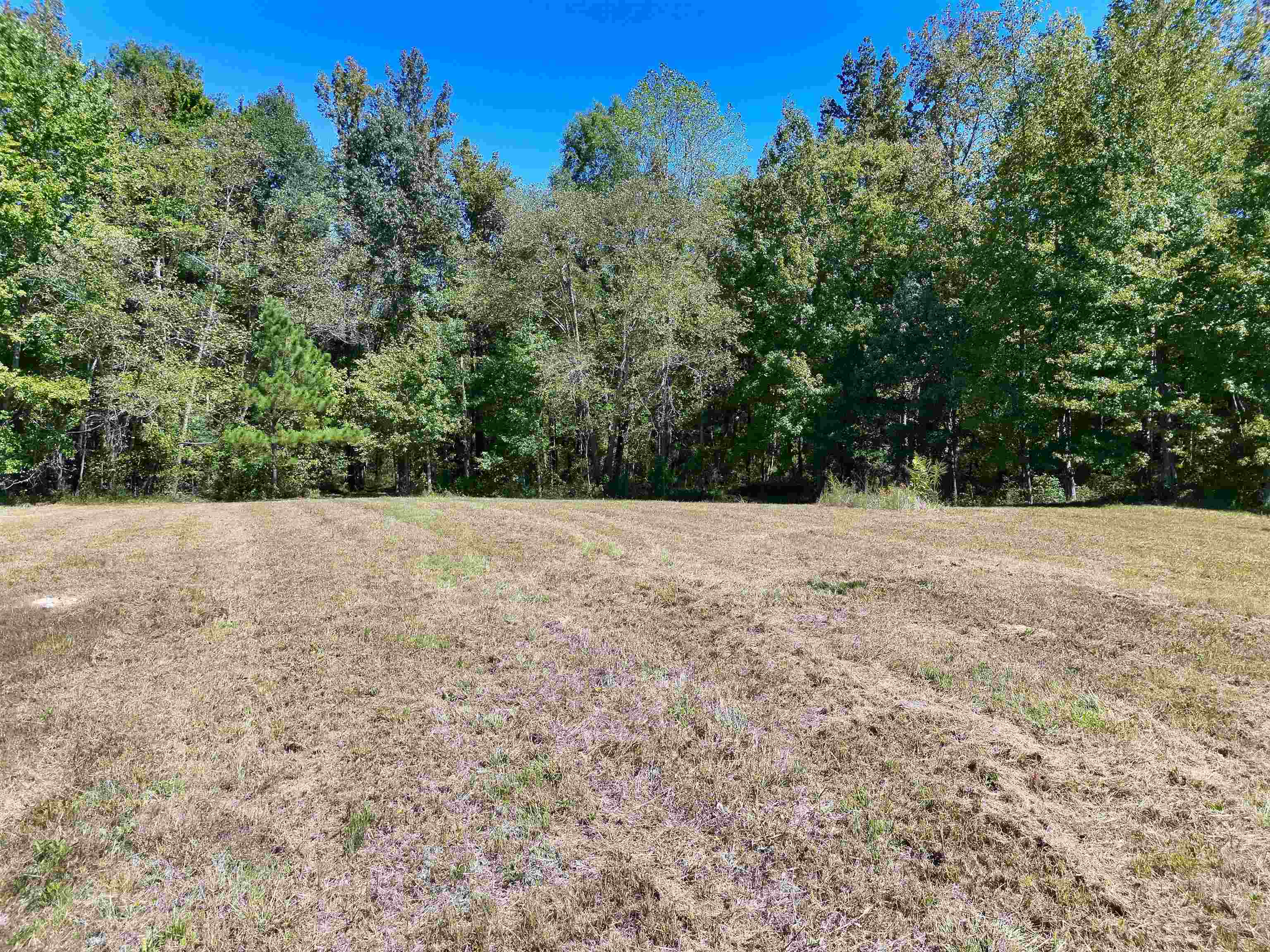 00 Pea Vine Rd S Property Photo 11