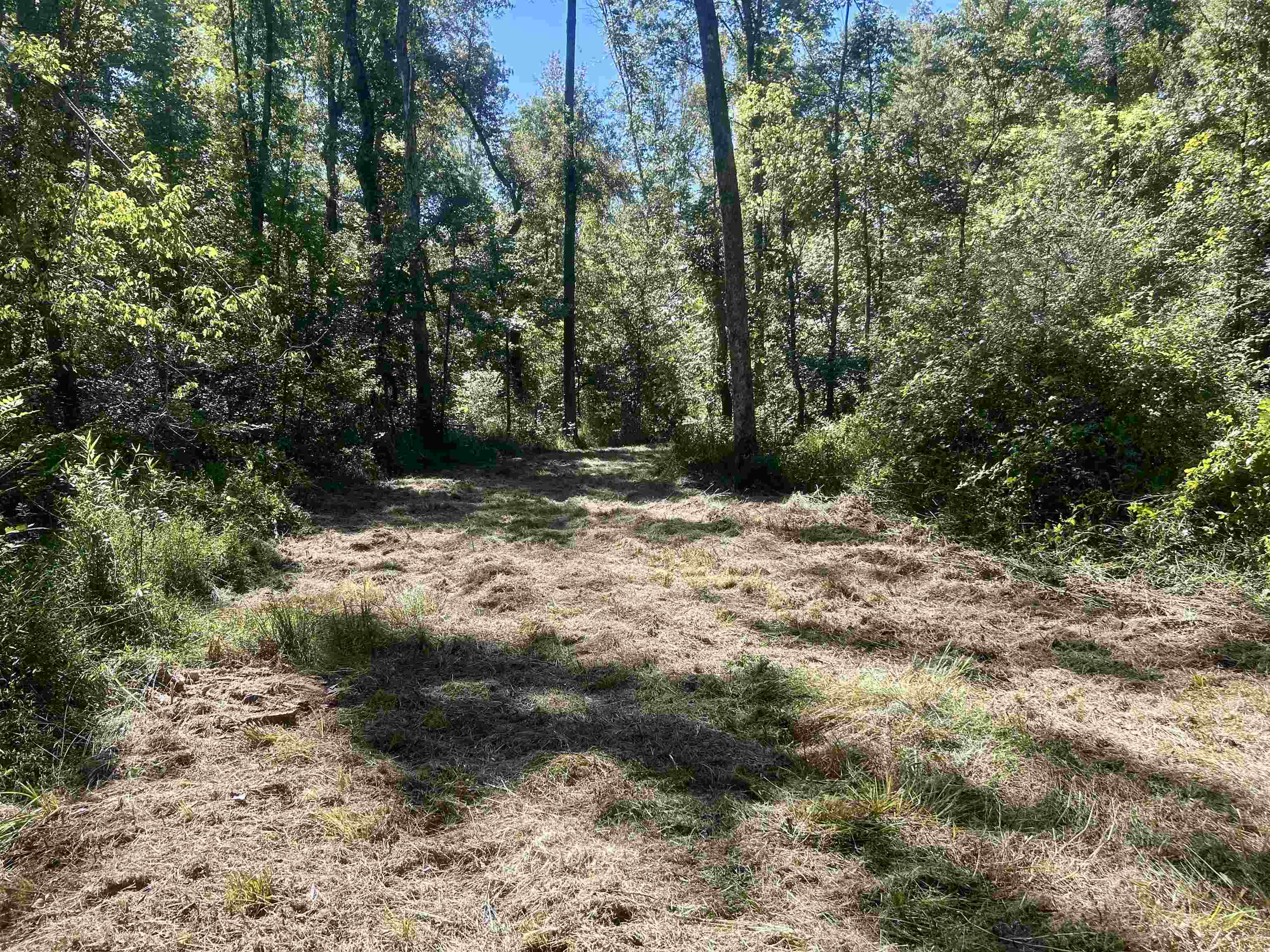 00 Pea Vine Rd S Property Photo 14
