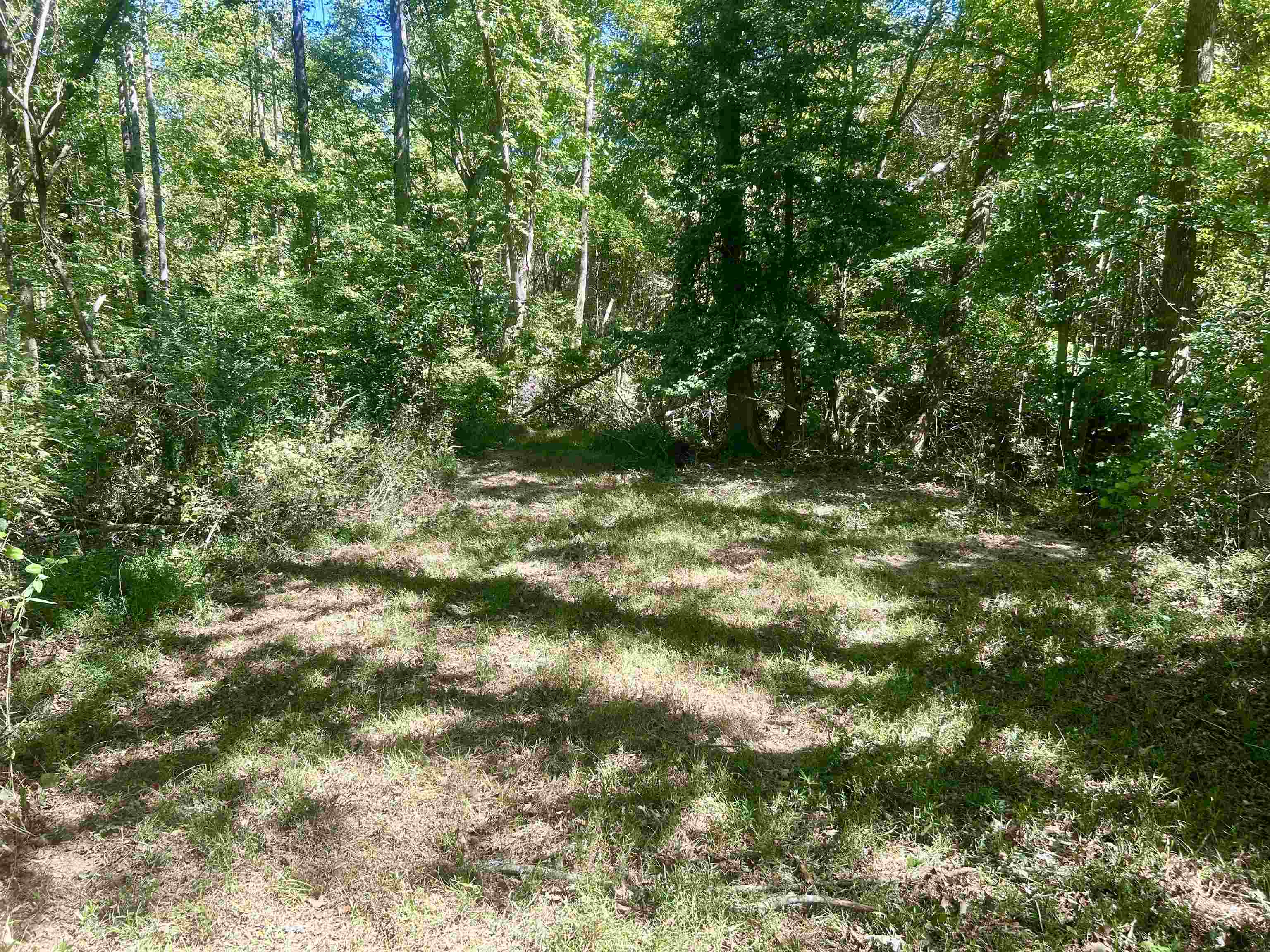 00 Pea Vine Rd S Property Photo 15