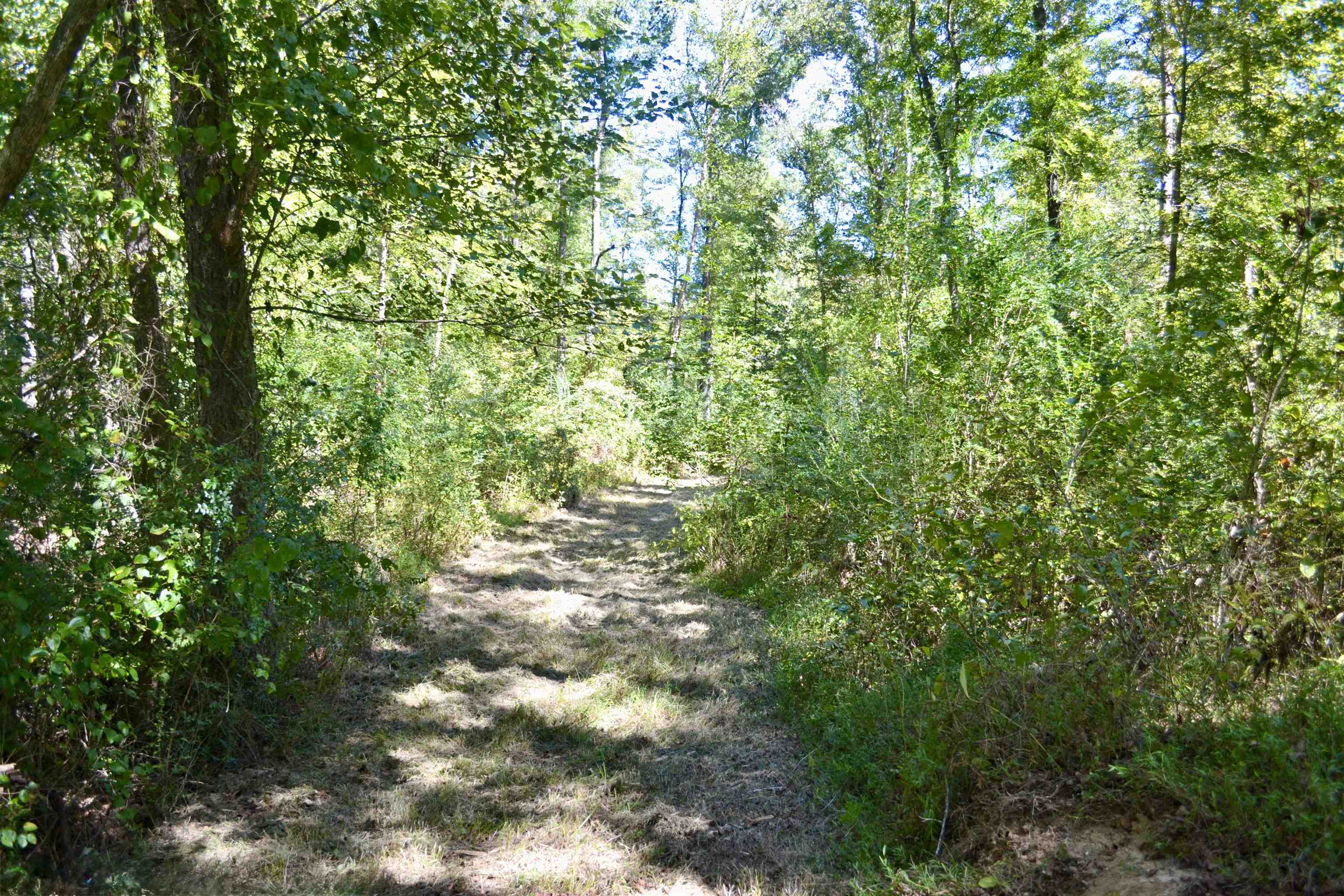 00 Pea Vine Rd S Property Photo 16