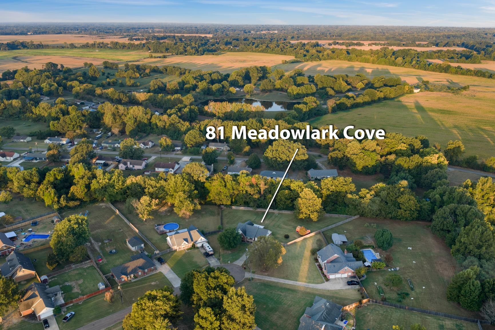 81 Meadowlark Cv Property Photo 28