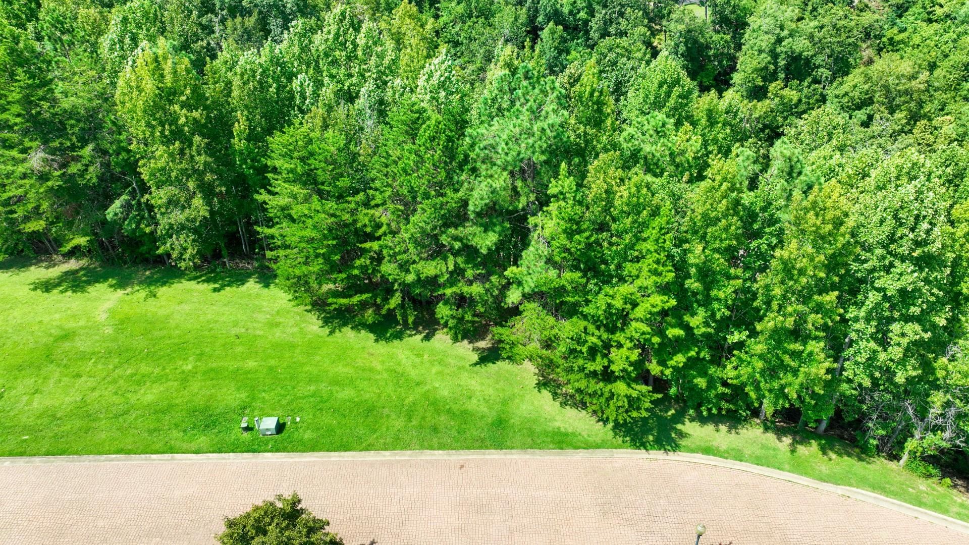 Lot 53 Shipwatch Pt Property Photo 22