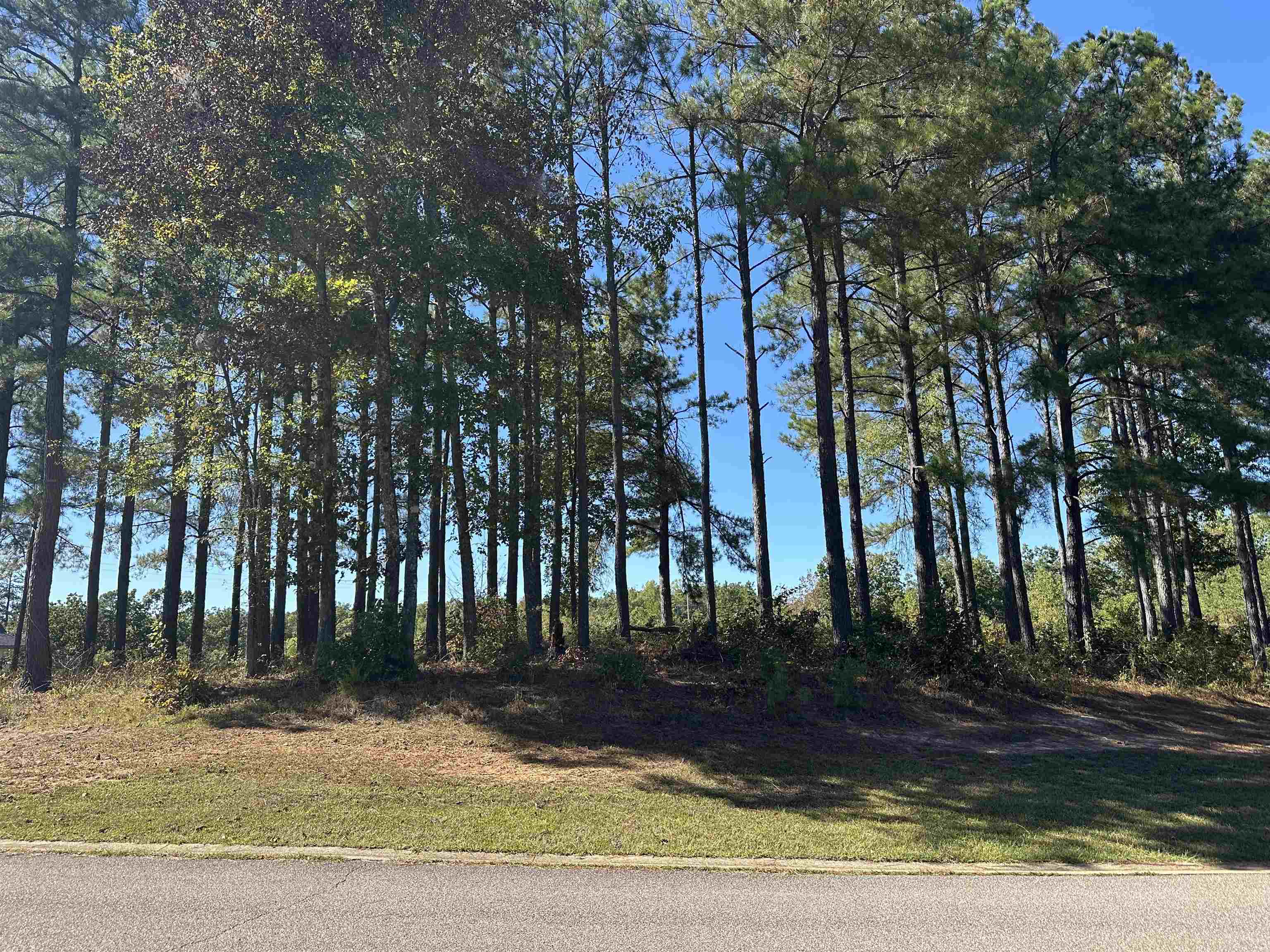 Lot 278 Destiny Way Lot #278 Property Photo 3