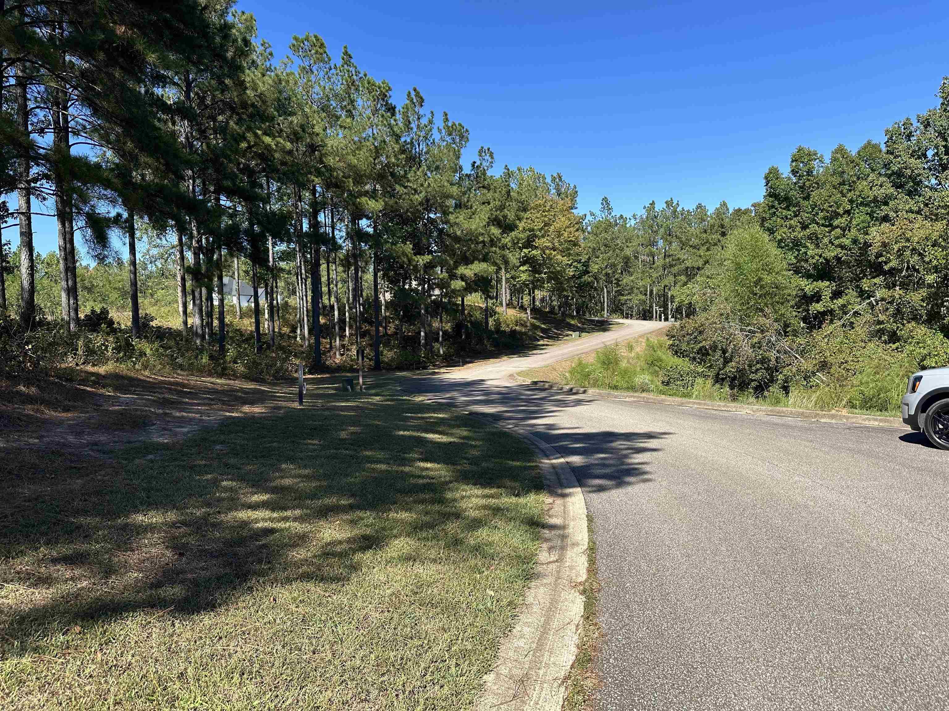Lot 278 Destiny Way Lot #278 Property Photo 5