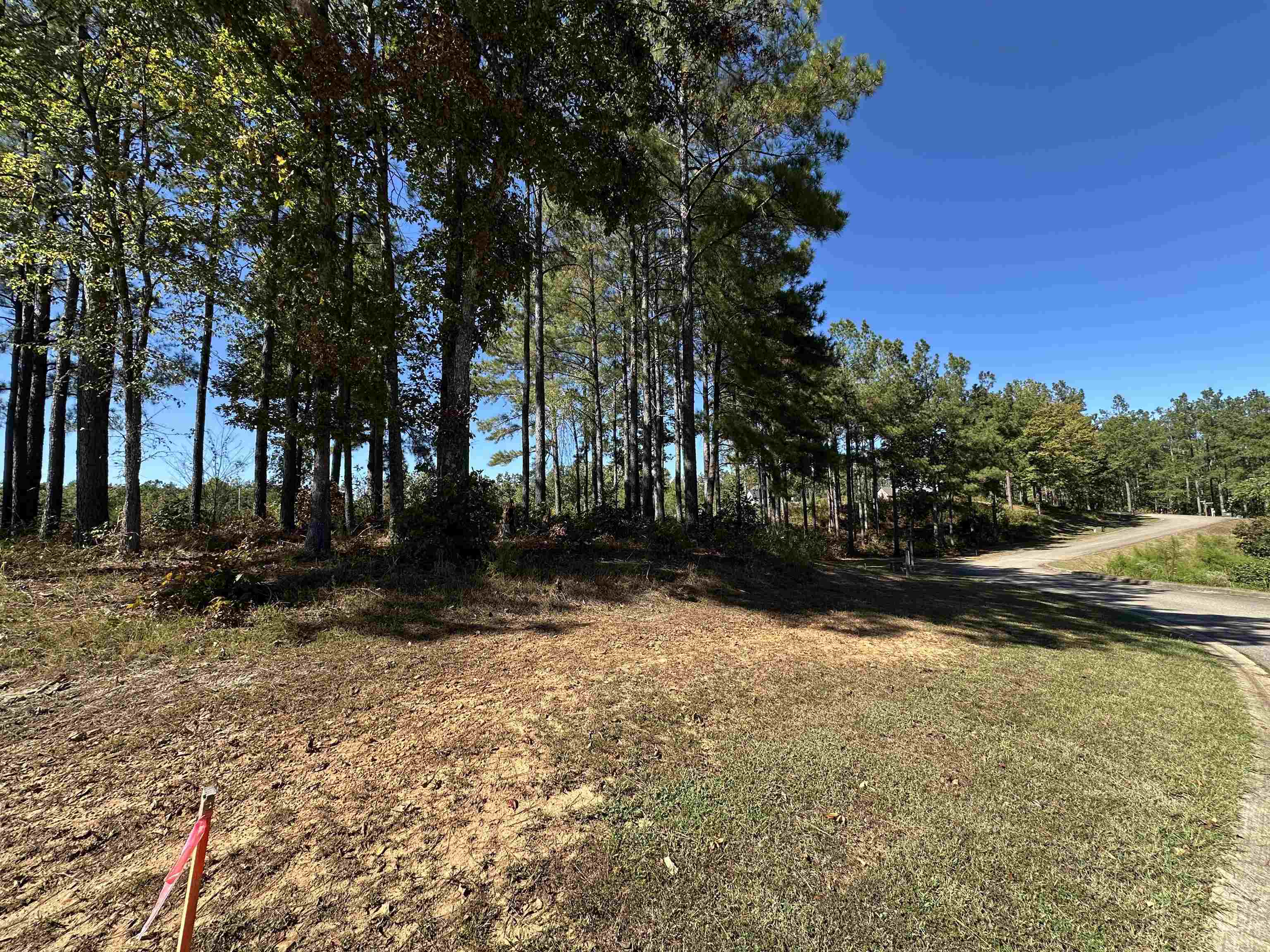 Lot 278 Destiny Way Lot #278 Property Photo 6