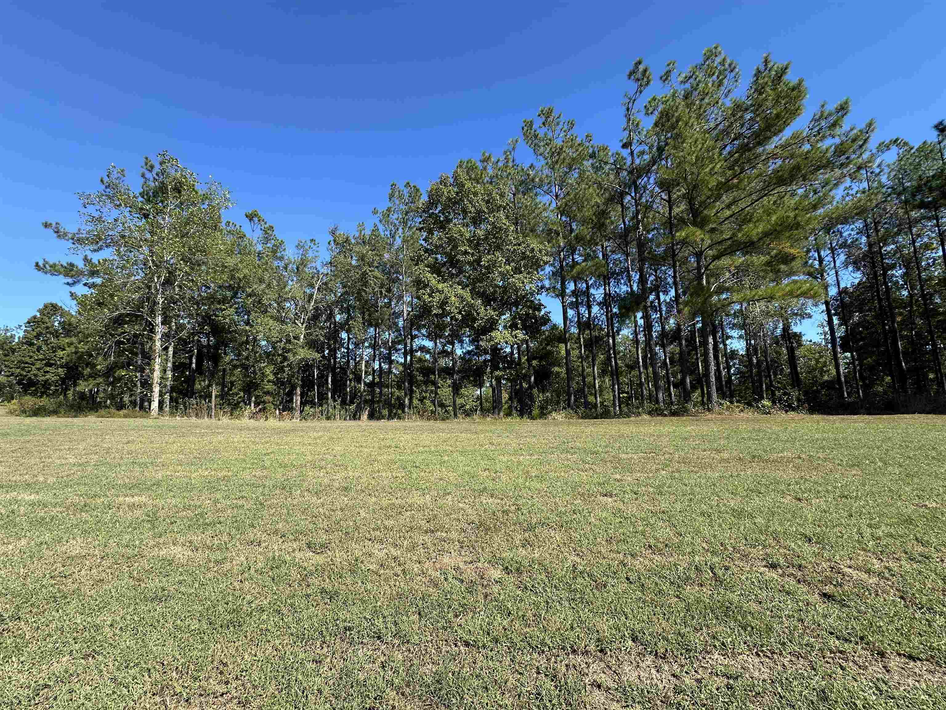 Lot 278 Destiny Way Lot #278 Property Photo 7