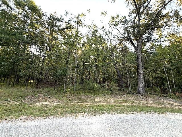 57 TIMBER RIDGE DR Property Photo 1