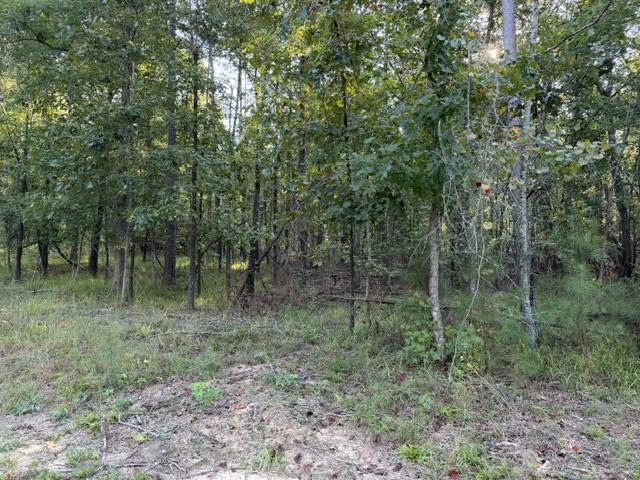 57 Timber Ridge Dr Property Photo 3