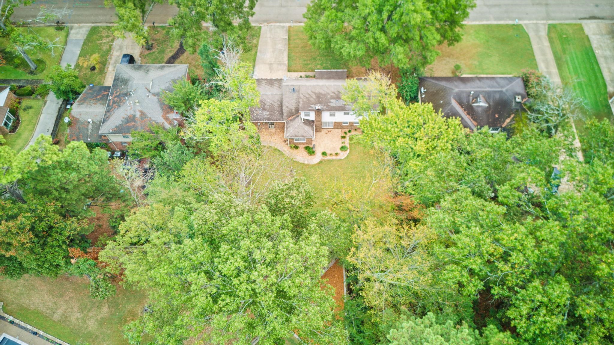 2531 Mimosa Tree Dr Property Photo 28