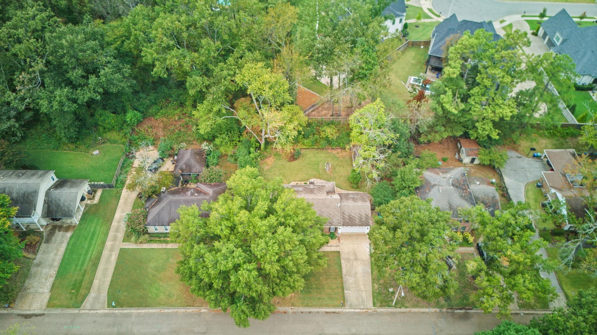 2531 Mimosa Tree Dr Property Photo 29