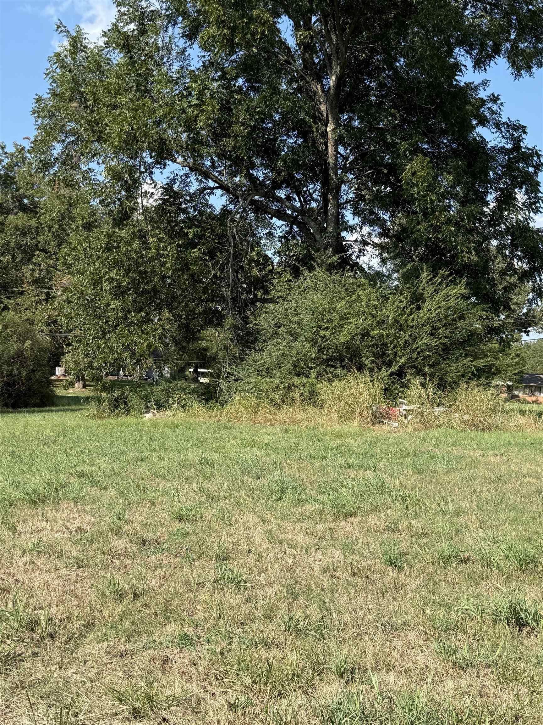 12053 Macon Rd Property Photo 5