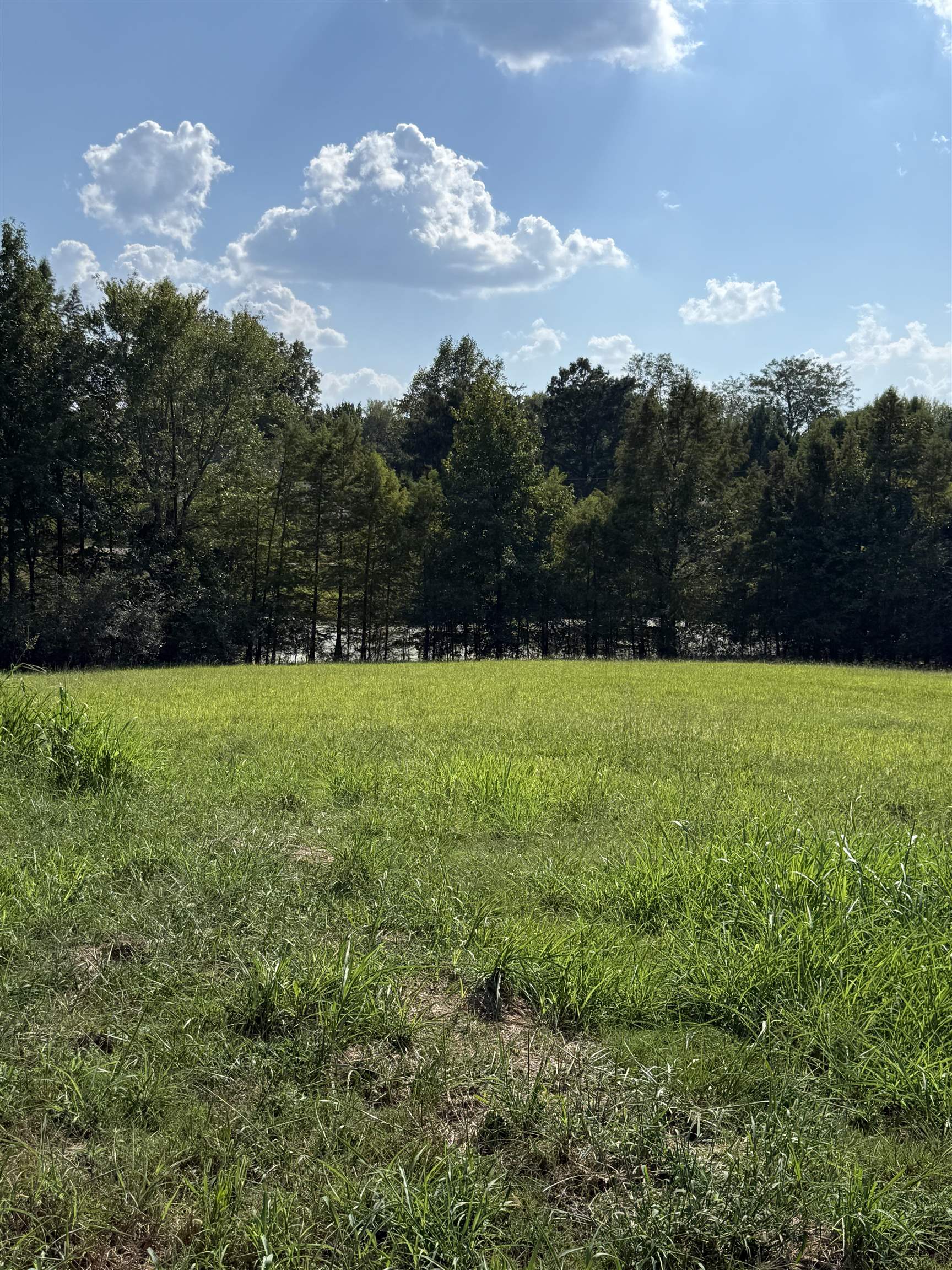 12053 Macon Rd Property Photo 8