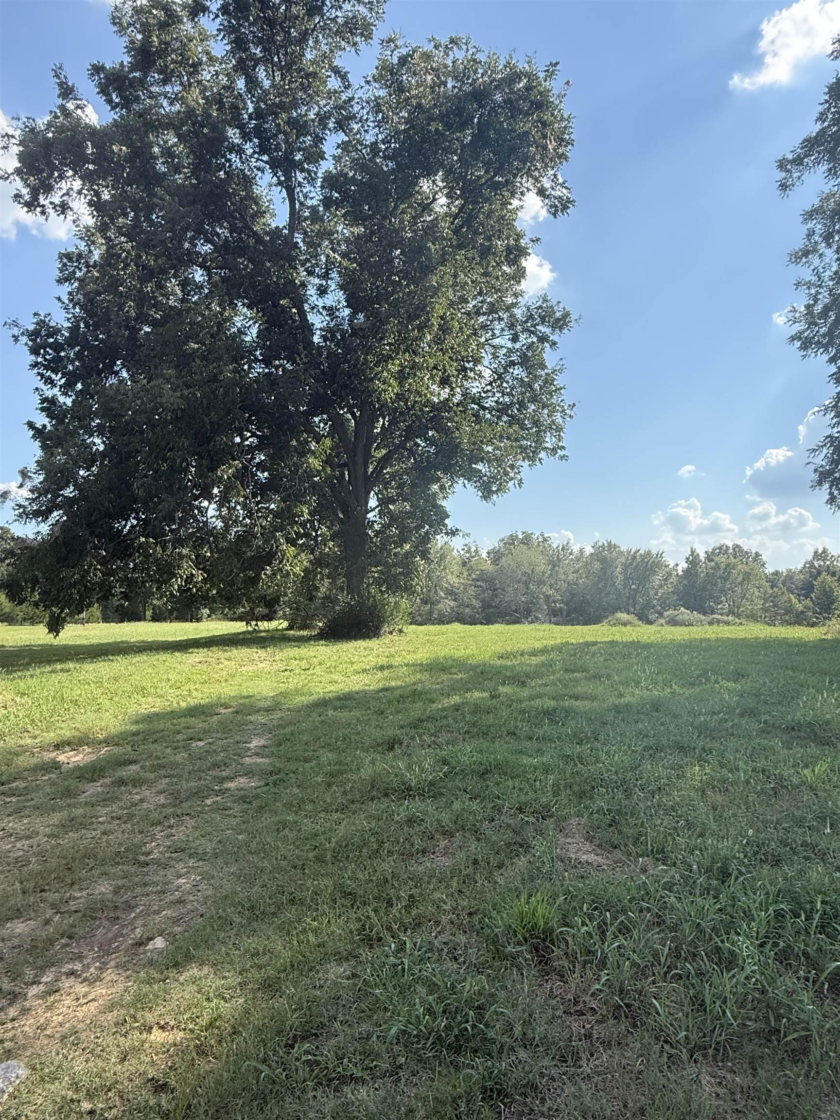 12053 Macon Rd Property Photo 10