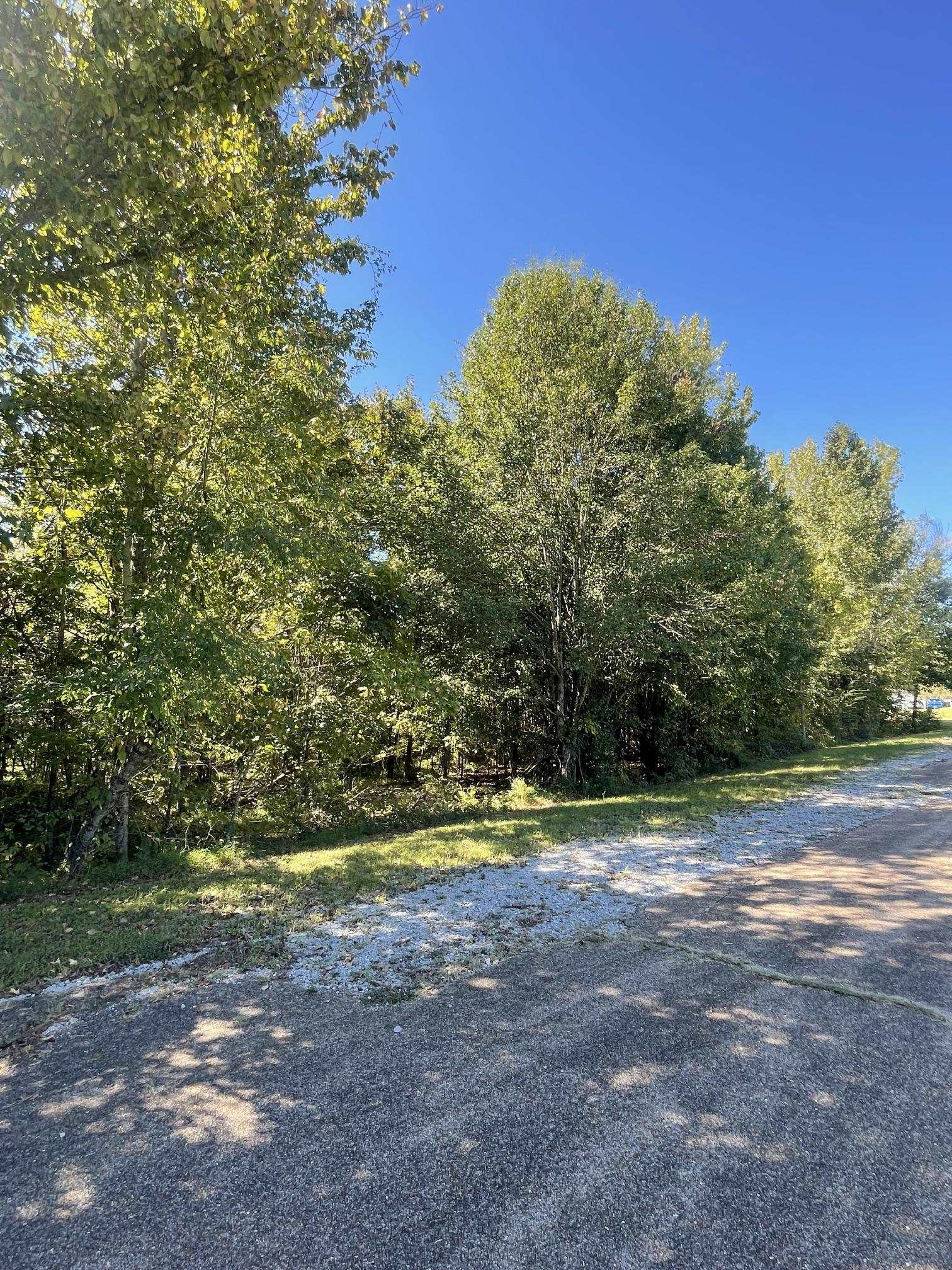 Mccreight Dr Property Photo 3