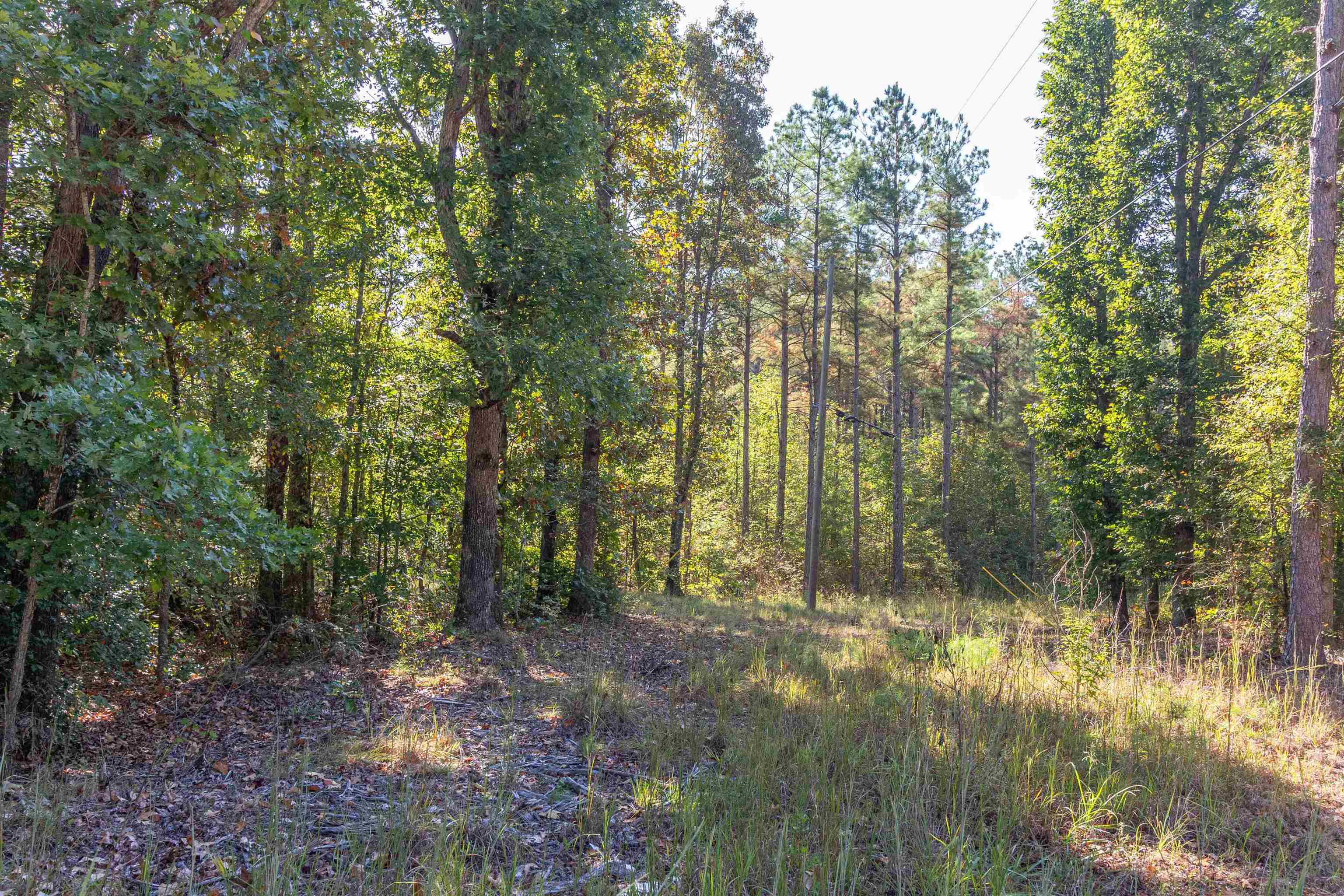 917 Tull Garner Rd Property Photo 2