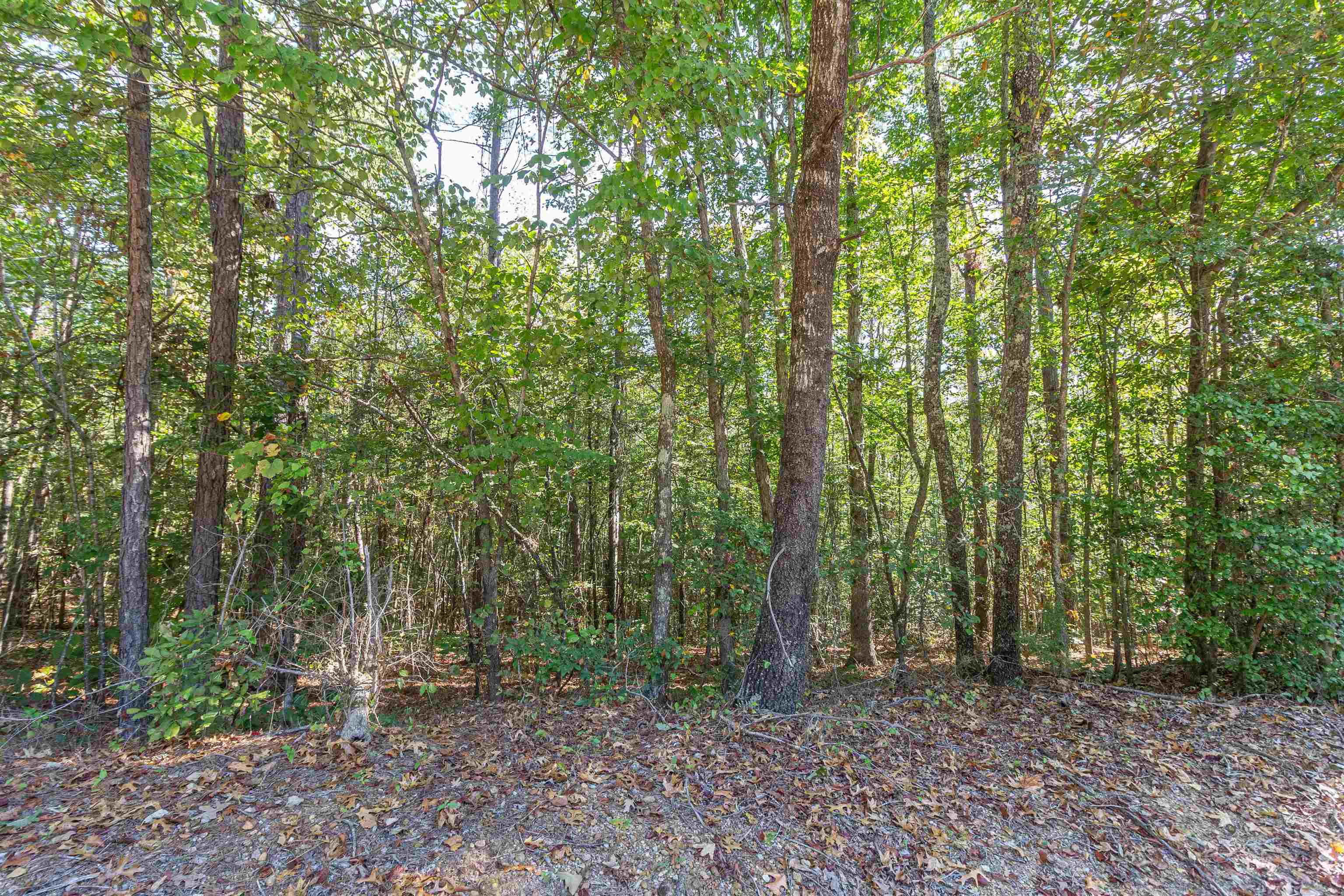 917 Tull Garner Rd Property Photo 3
