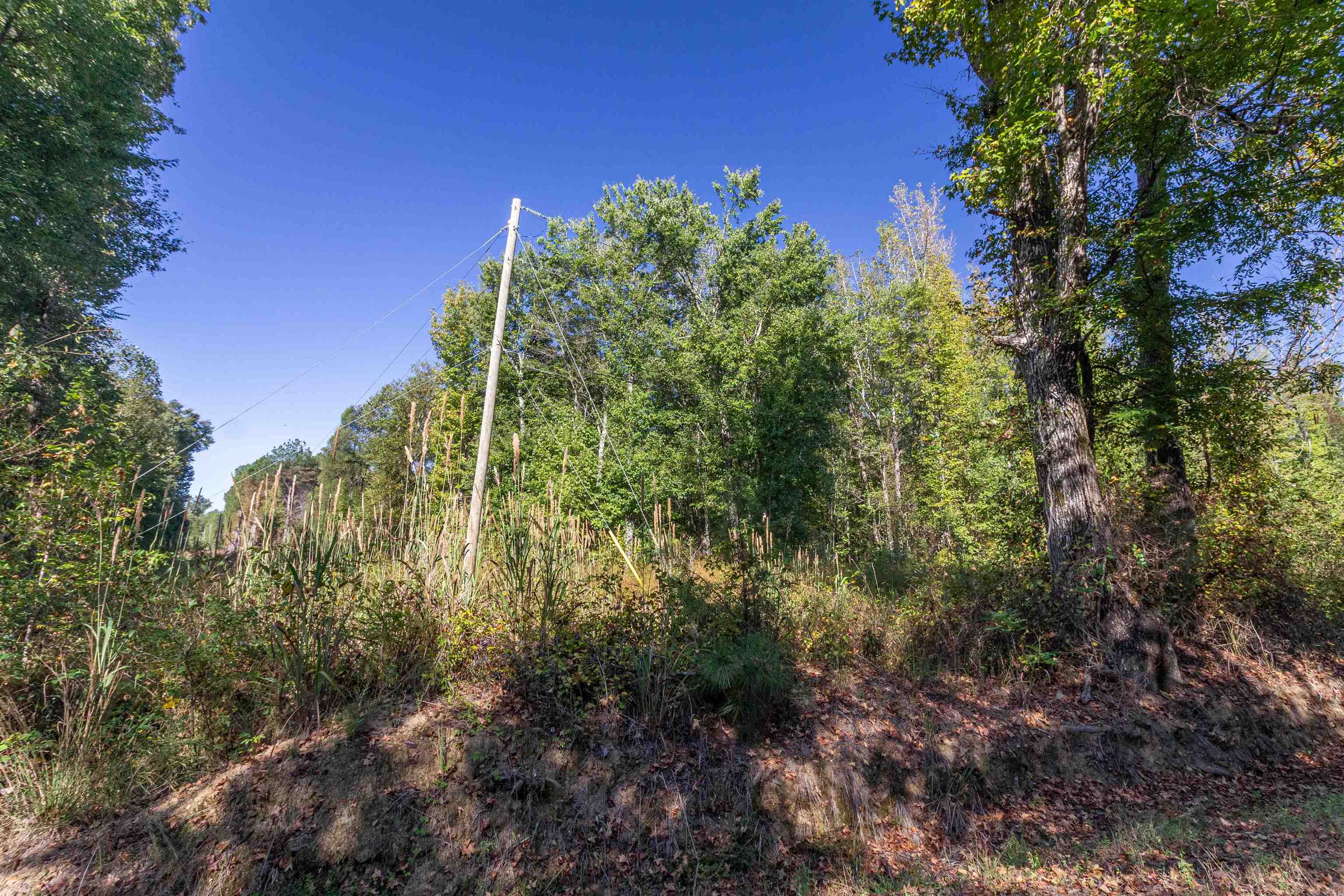 917 Tull Garner Rd Property Photo 9