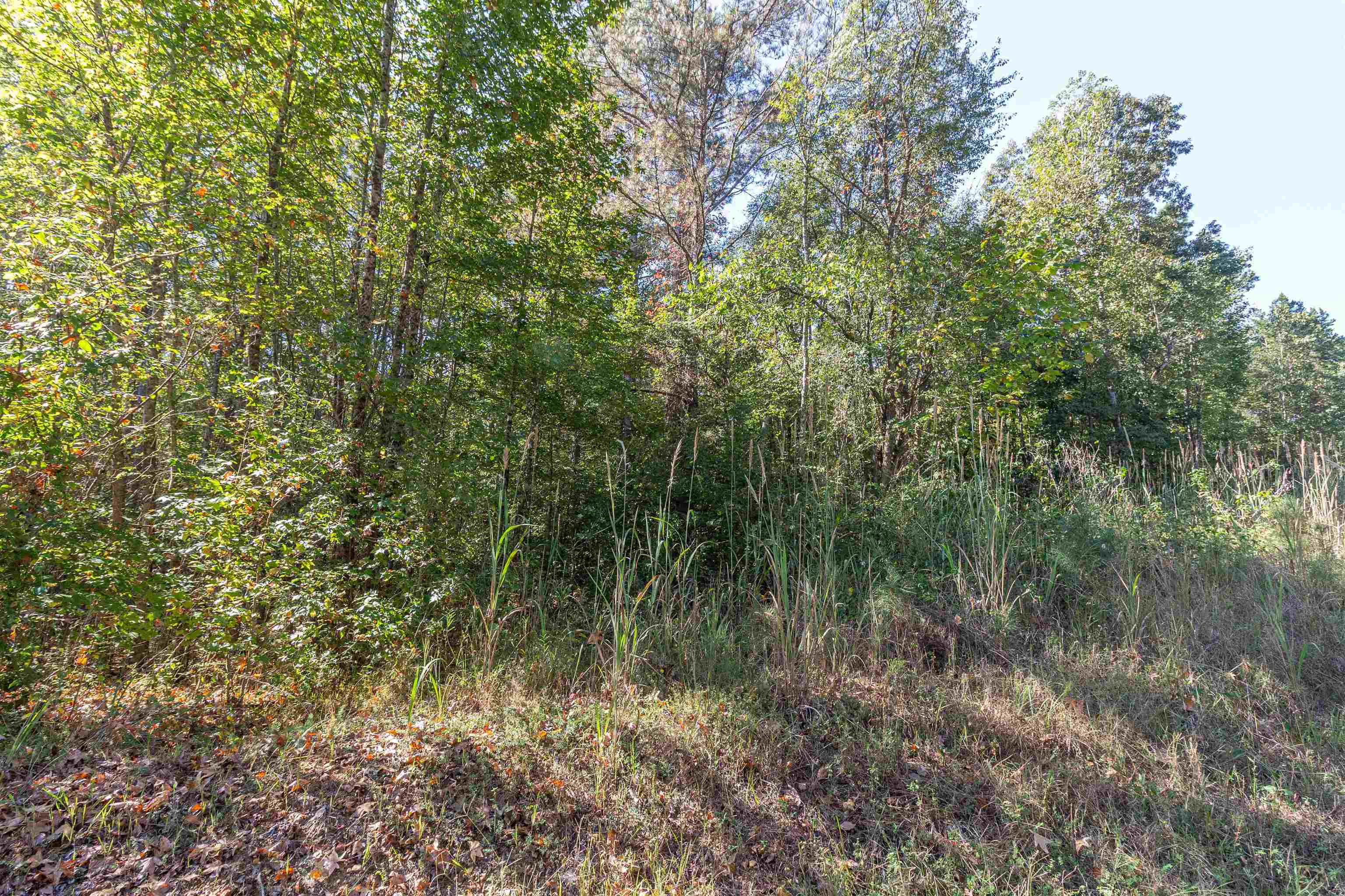 917 Tull Garner Rd Property Photo 14