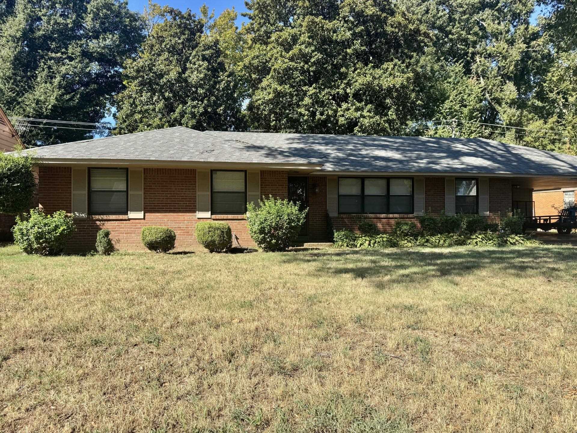 4859 Rocky Knob Ave Property Photo 1