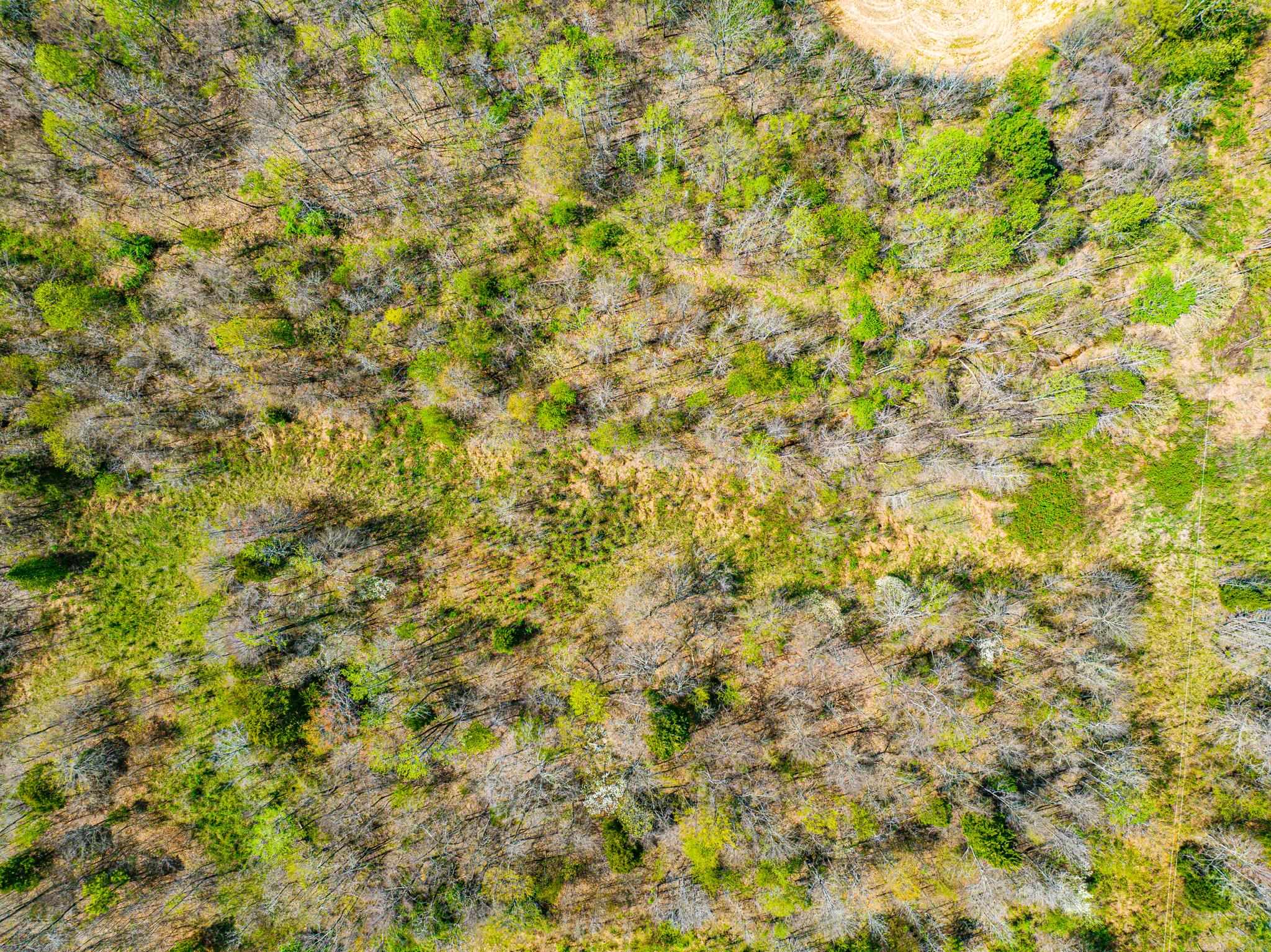 0 Pisgah Rd Property Photo 18