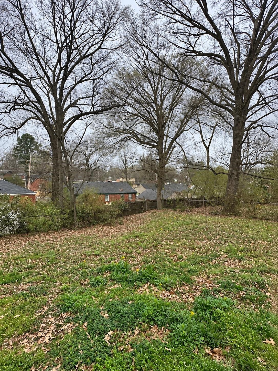 4244 Coventry Dr Property Photo 6