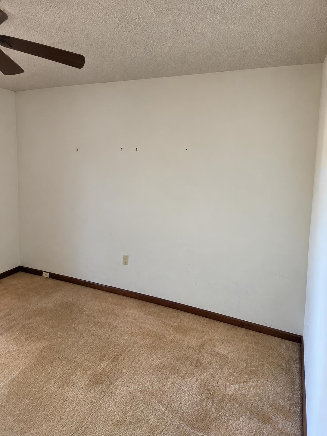 5905 Hickory Grove Ln Property Photo 10