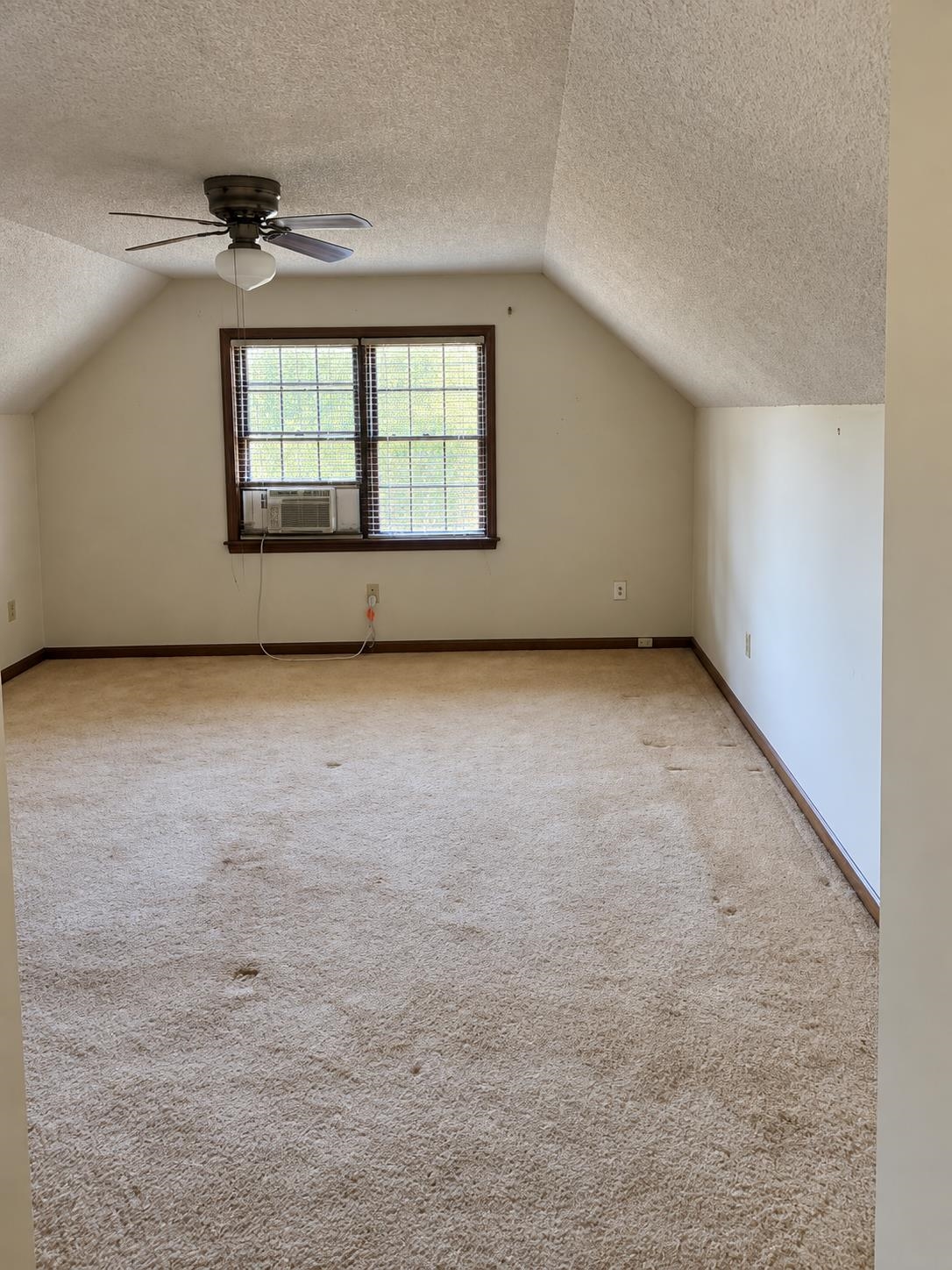 5905 Hickory Grove Ln Property Photo 11