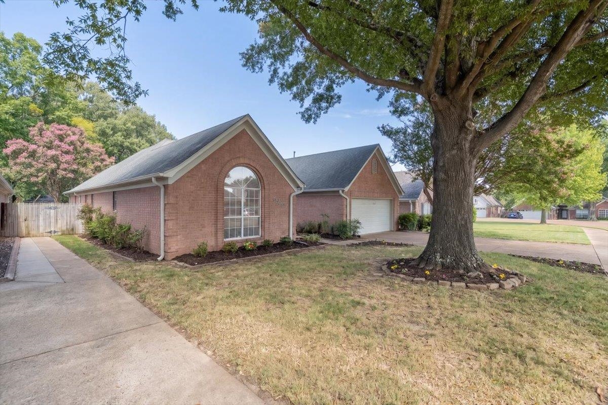 6470 Belmont Cv Property Photo 3