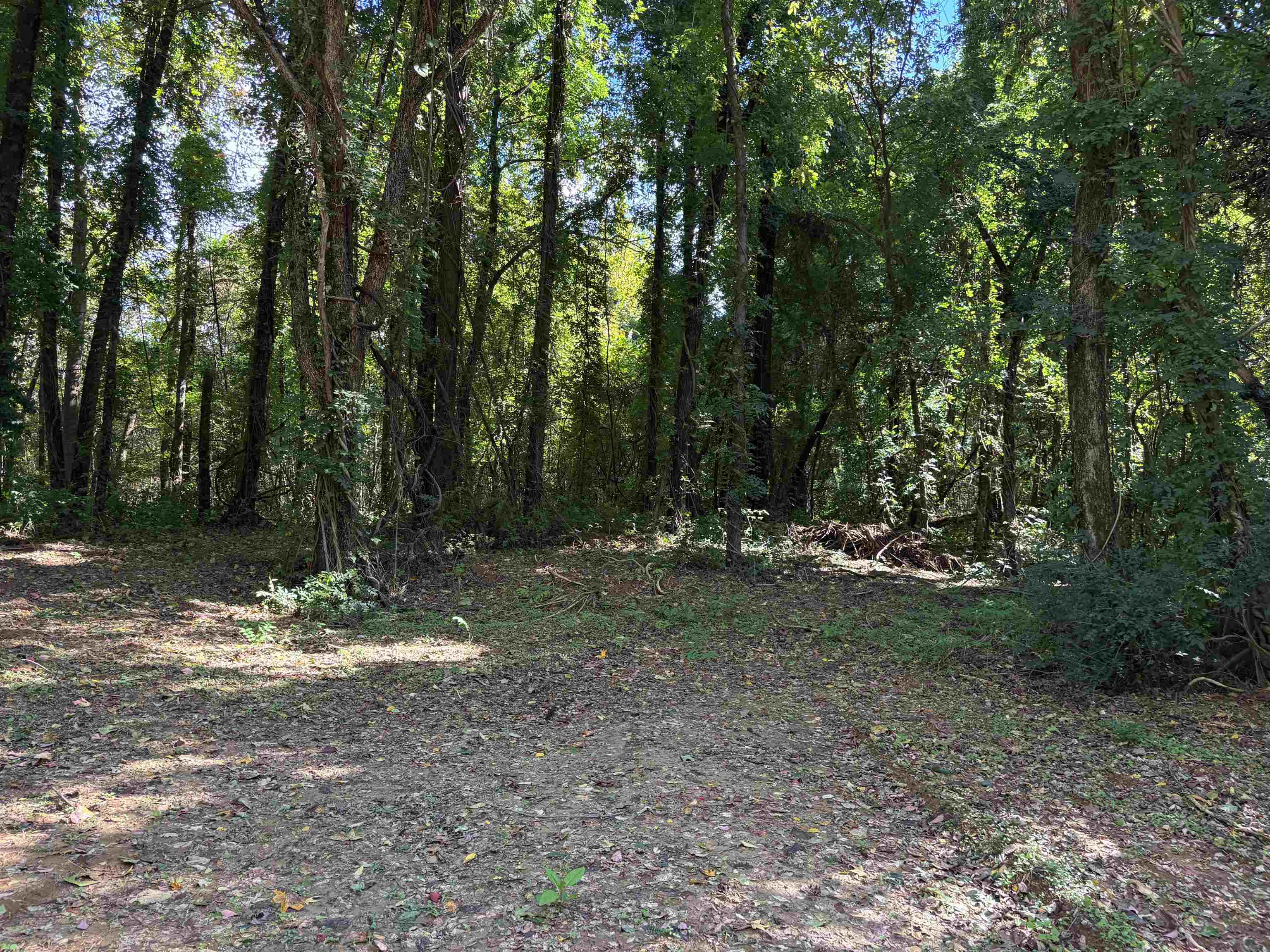0 N KERRVILLE ROSEMARK RD Property Photo 1