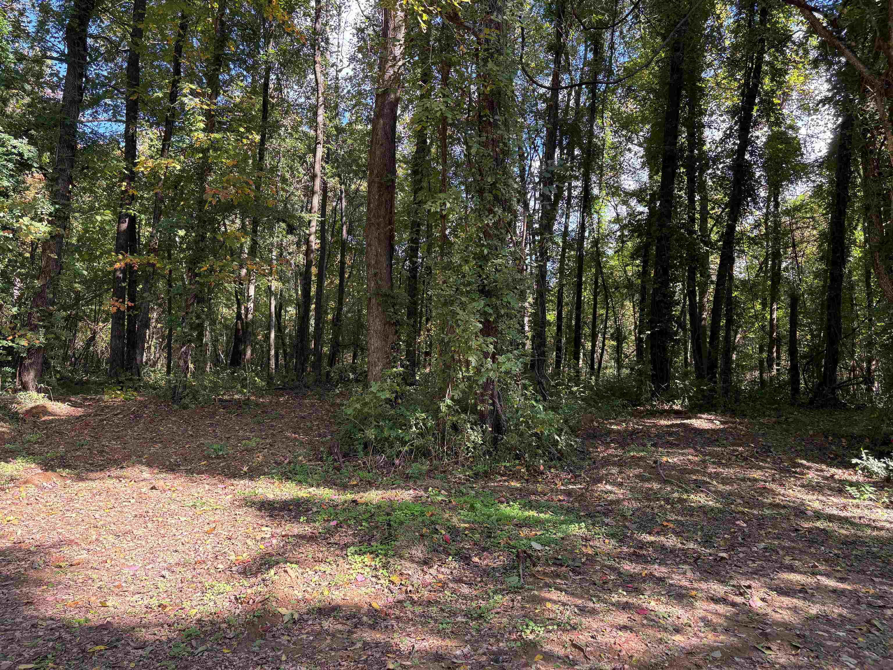 0 N Kerrville Rosemark Rd Property Photo 3