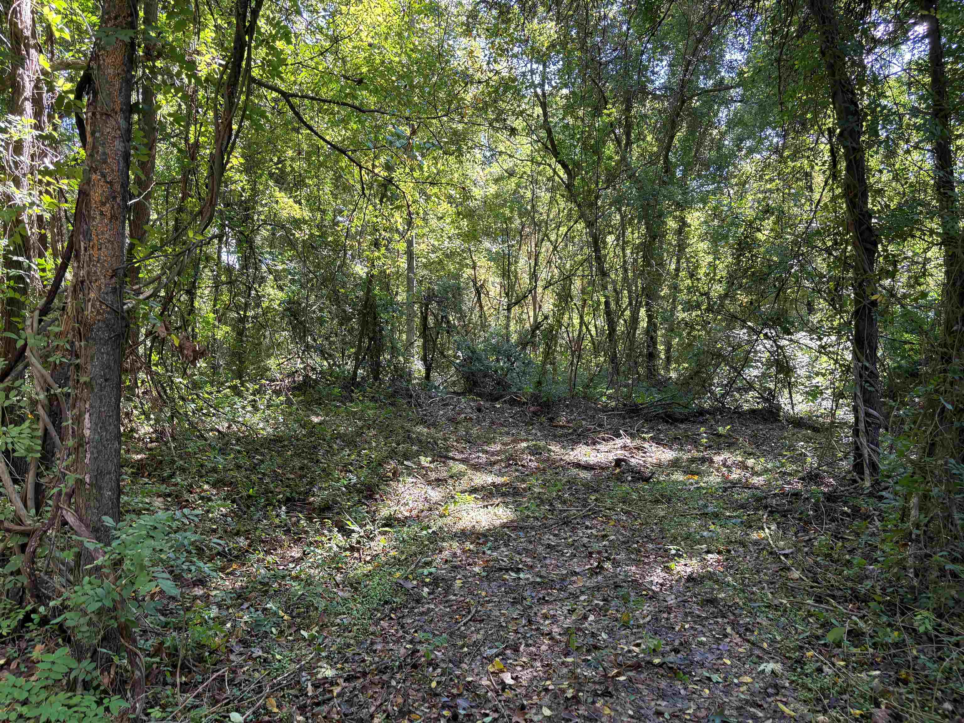 0 N Kerrville Rosemark Rd Property Photo 4