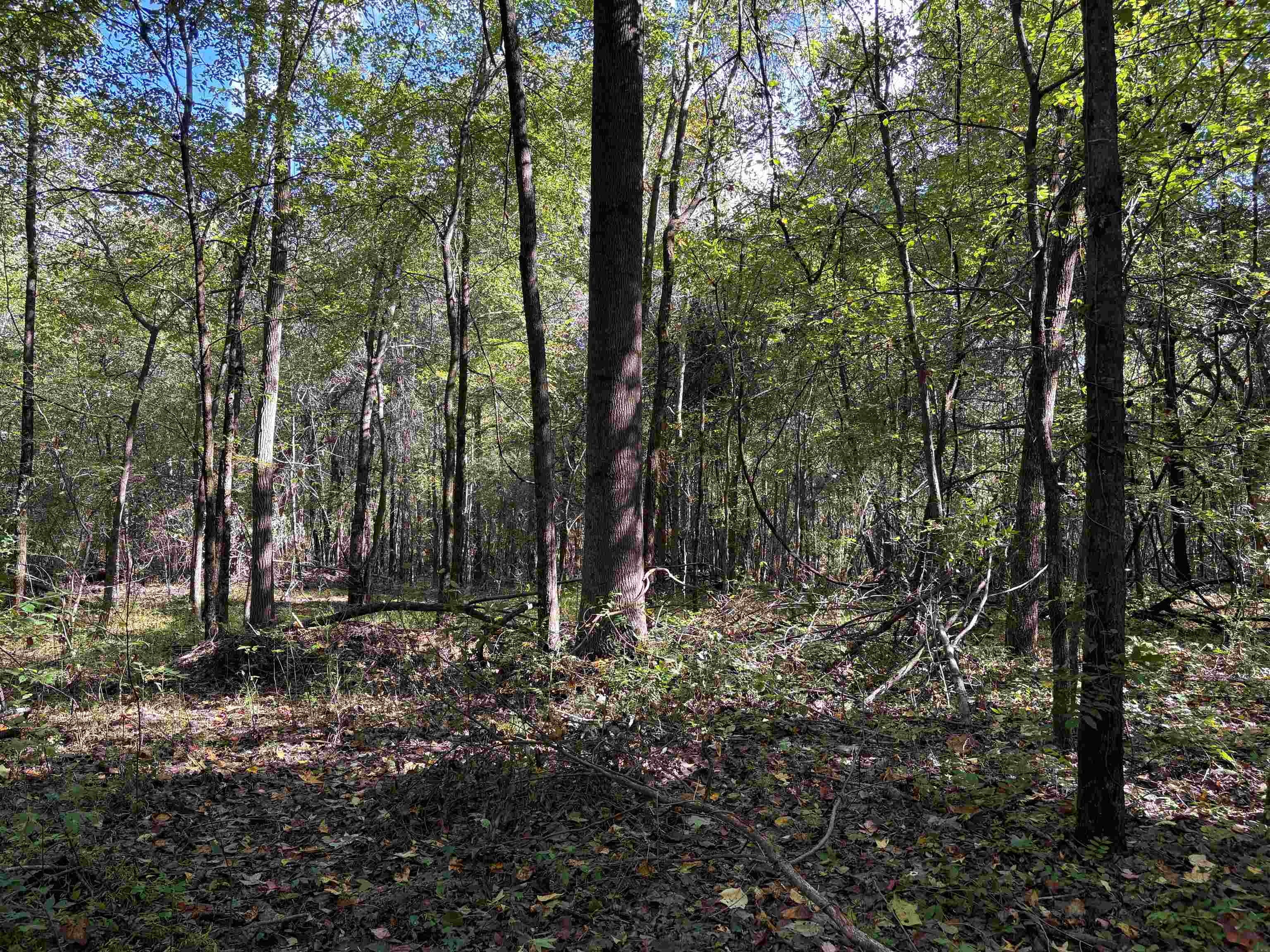 0 N Kerrville Rosemark Rd Property Photo 5