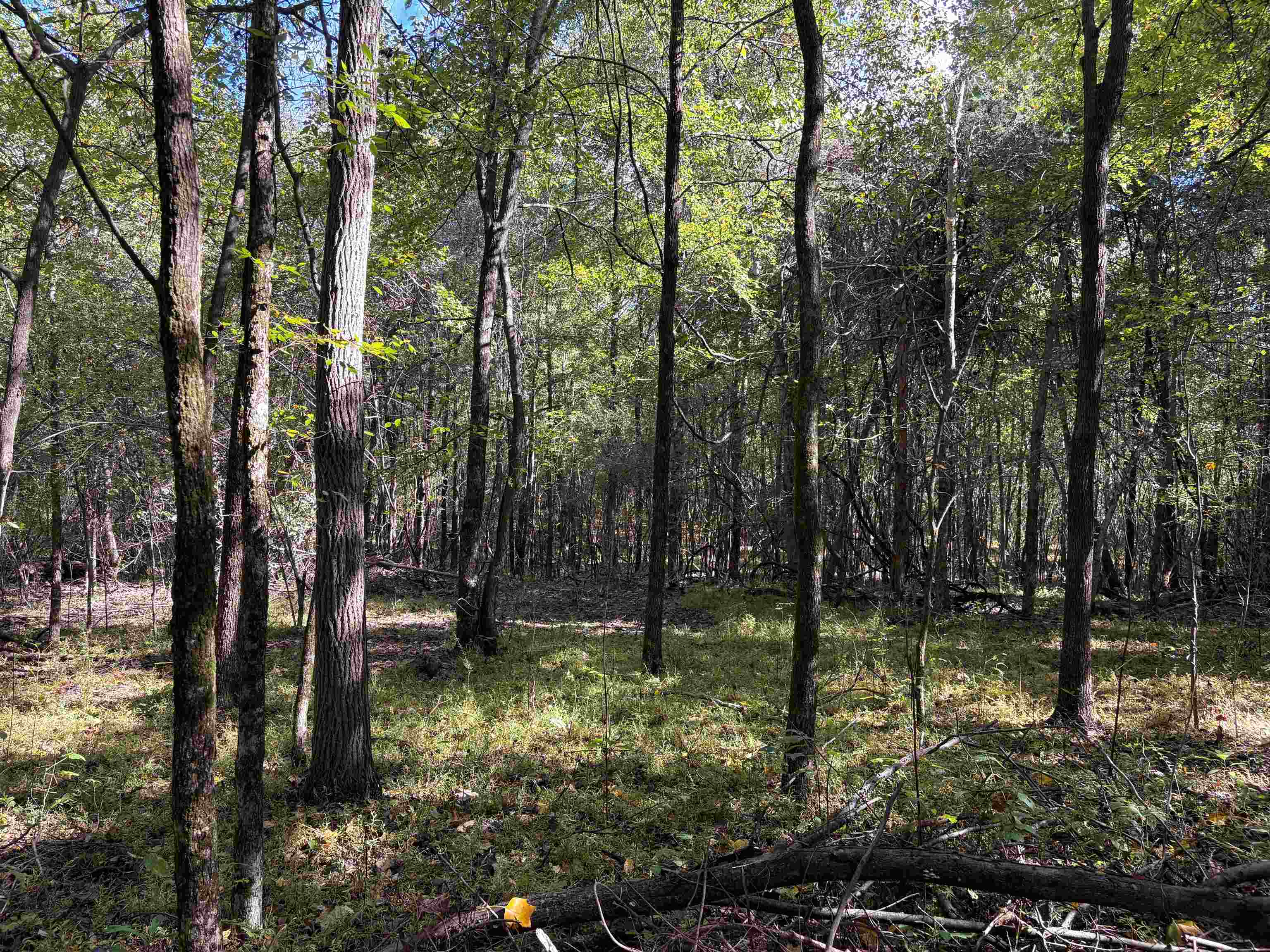 0 N Kerrville Rosemark Rd Property Photo 6