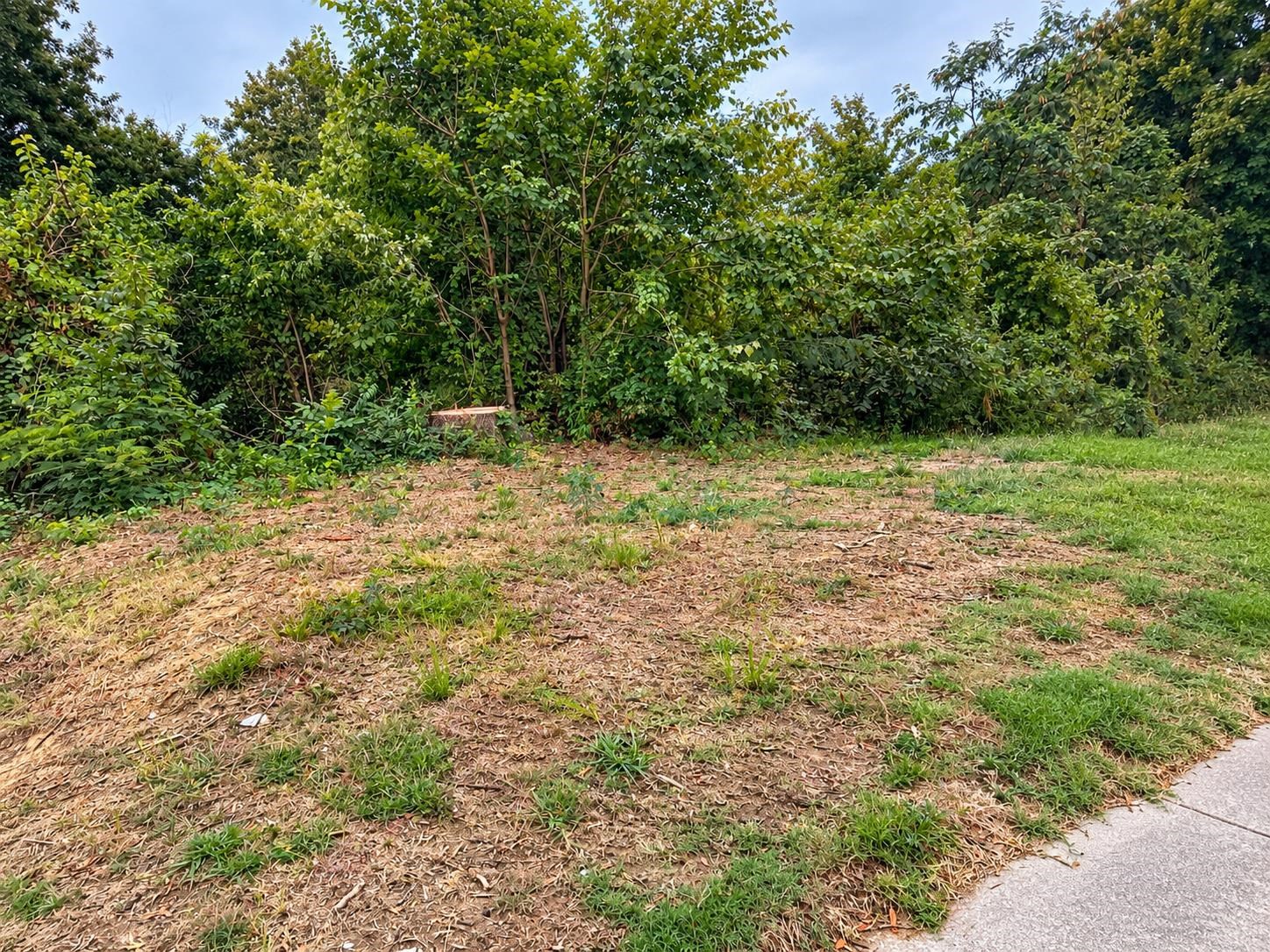 1587 Cameron St Property Photo 3