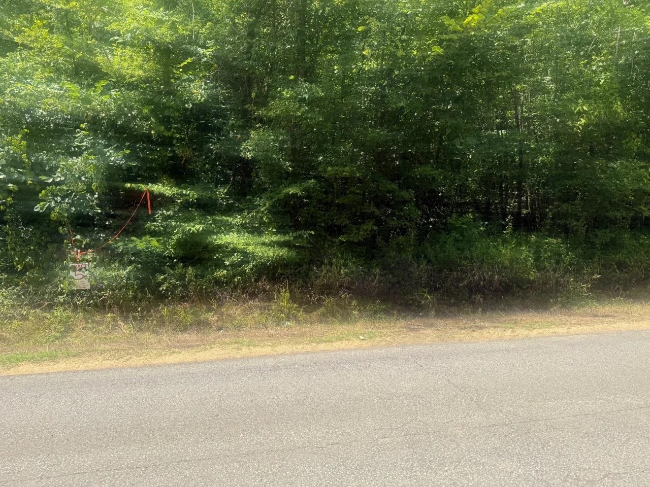 Tract 4 Coffee Landing Rd Property Photo 3