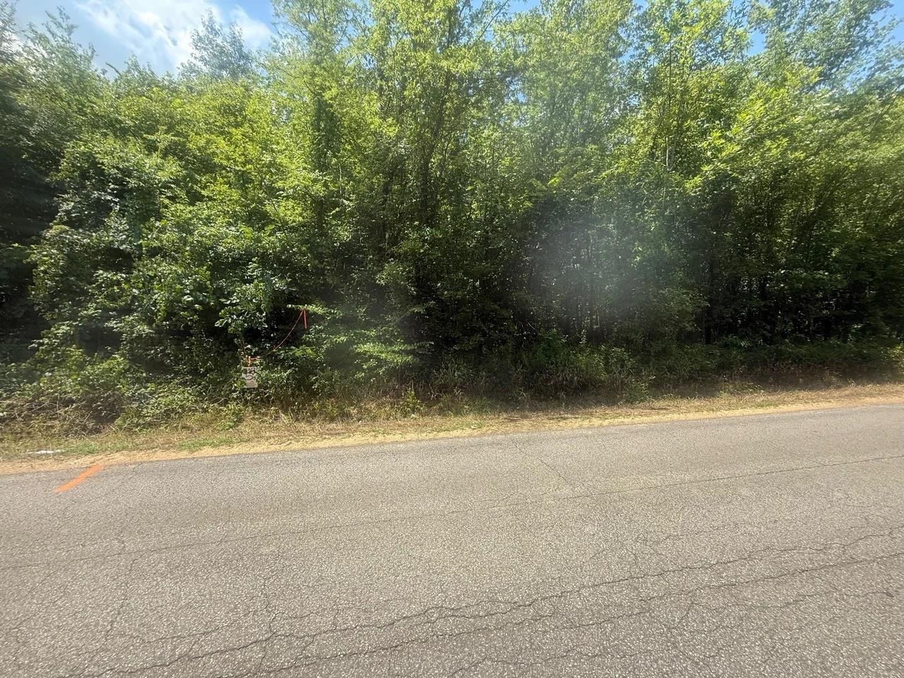 Tract 4 Coffee Landing Rd Property Photo 4
