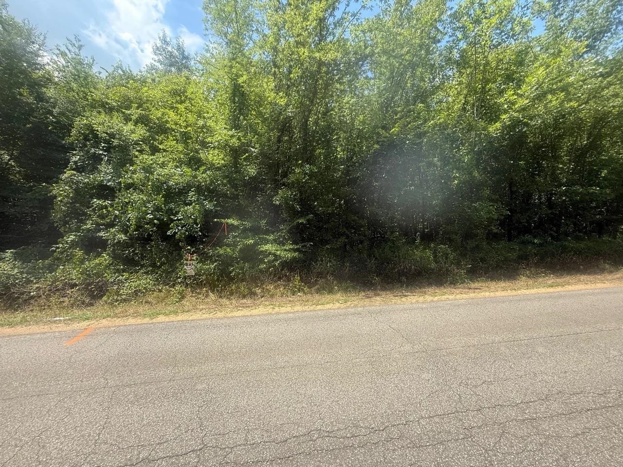 Tract 4 Coffee Landing Rd Property Photo 5