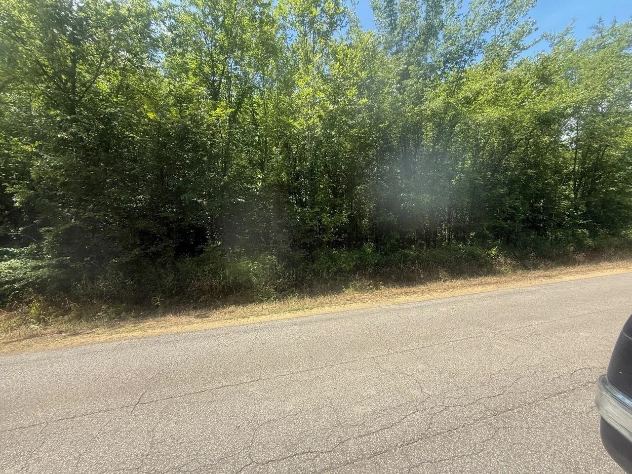 Tract 4 Coffee Landing Rd Property Photo 6