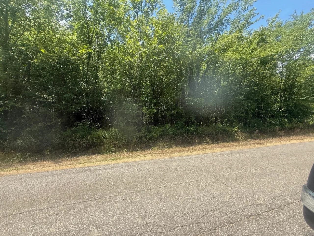 Tract 4 Coffee Landing Rd Property Photo 7