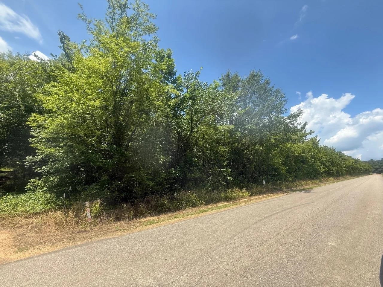 Tract 4 Coffee Landing Rd Property Photo 9