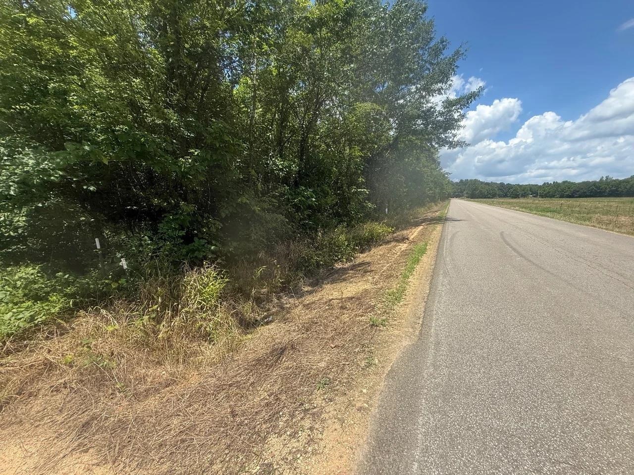 Tract 4 Coffee Landing Rd Property Photo 11