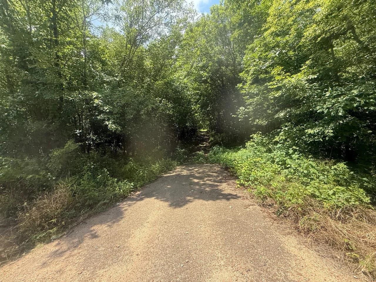 Tract 4 Coffee Landing Rd Property Photo 14
