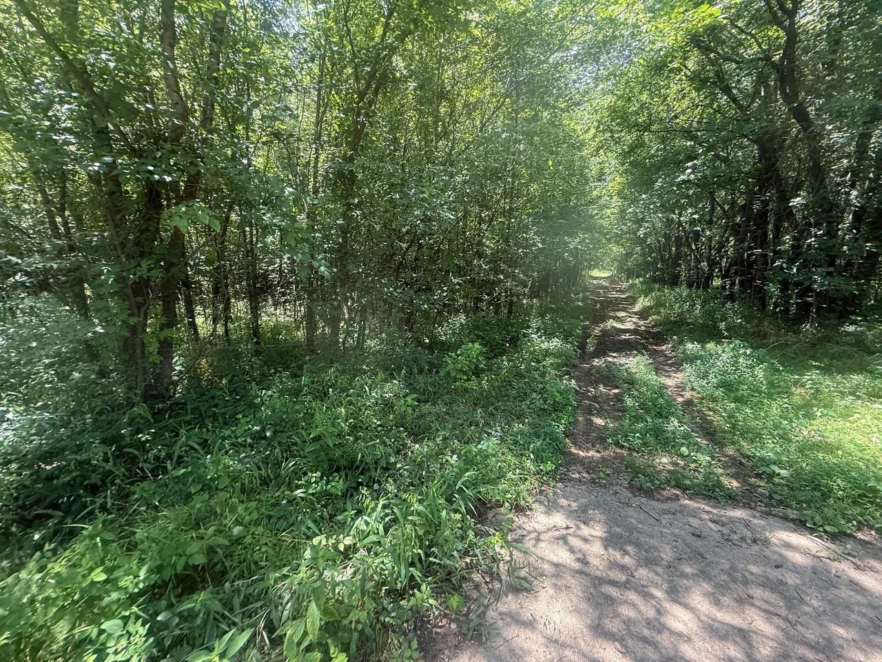 Tract 4 Coffee Landing Rd Property Photo 15