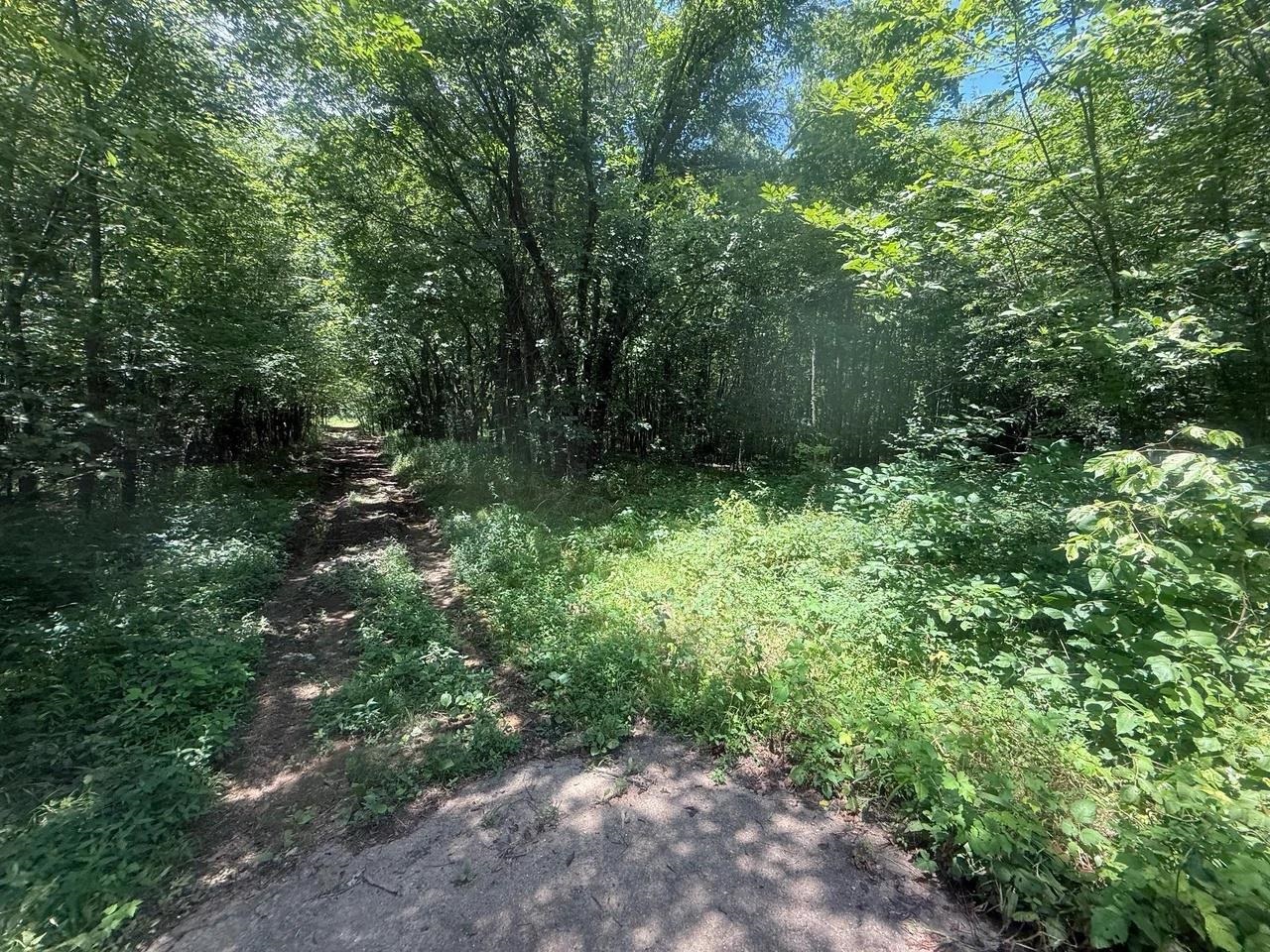 Tract 4 Coffee Landing Rd Property Photo 16