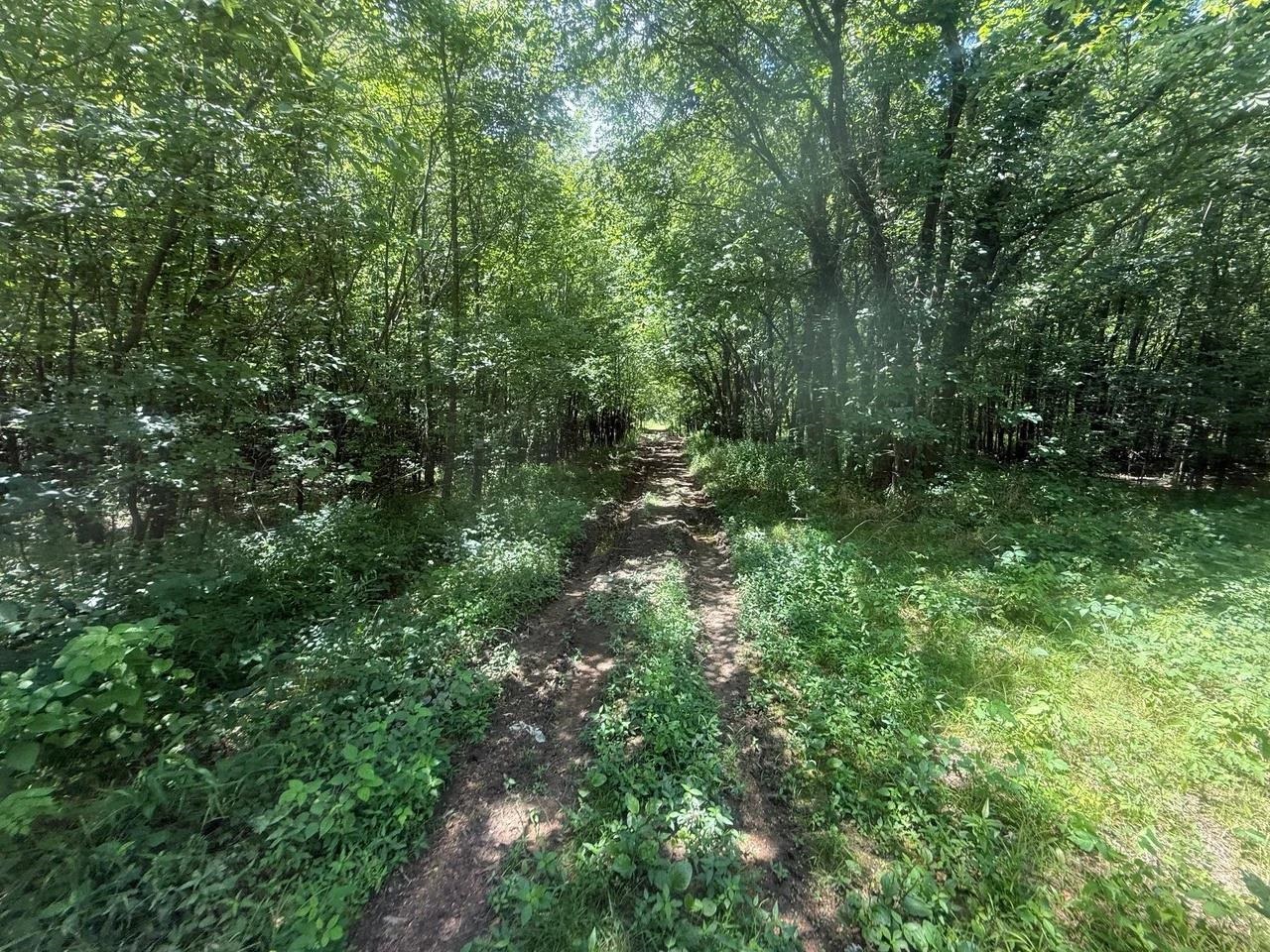 Tract 4 Coffee Landing Rd Property Photo 17