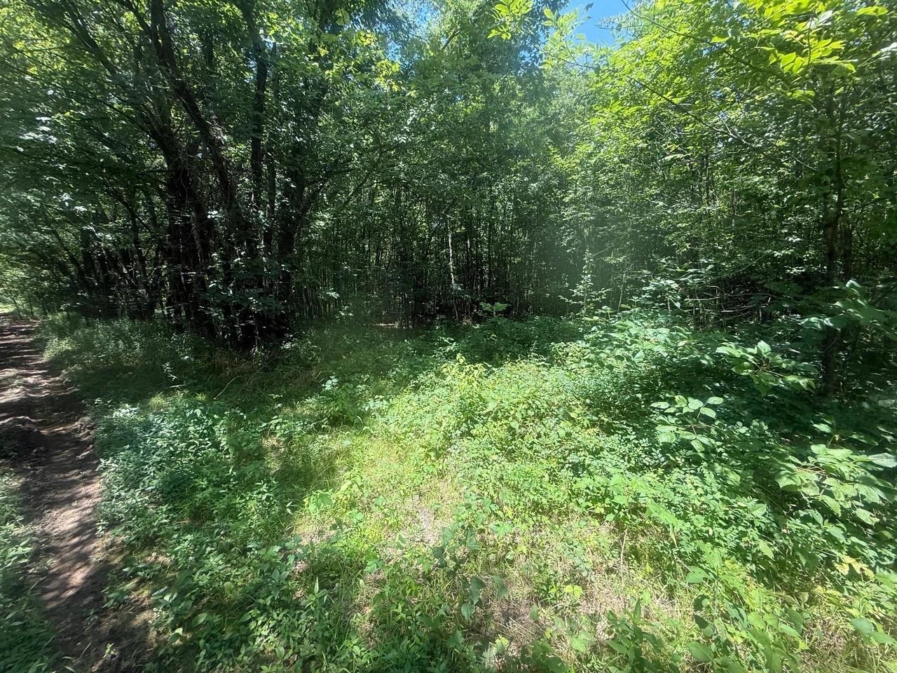 Tract 4 Coffee Landing Rd Property Photo 18