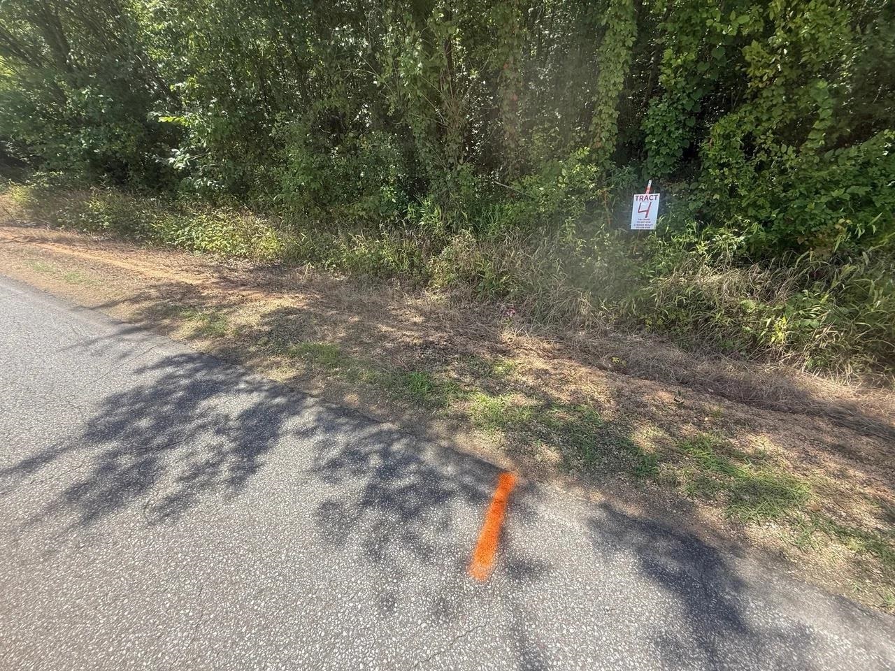 Tract 4 Coffee Landing Rd Property Photo 21