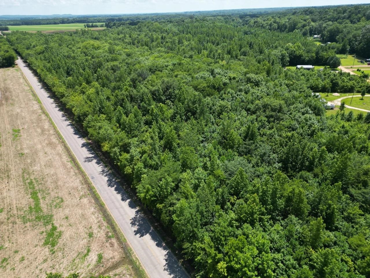 Tract 4 Coffee Landing Rd Property Photo 37