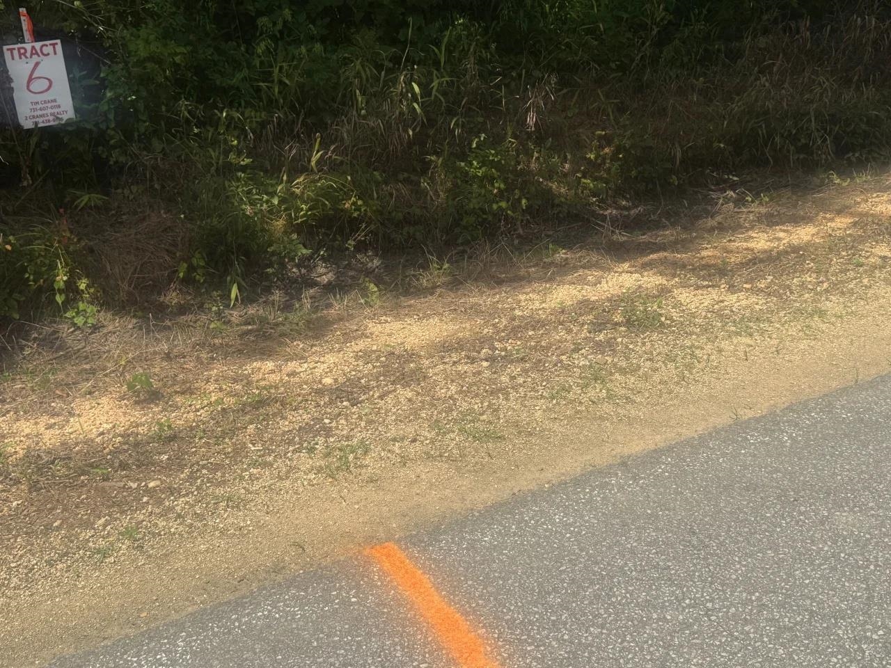 TRACT 5 COFFEE LANDING RD Property Photo 1