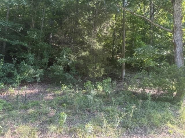 Tracts 5-6 Carroll Hollow Rd Property Photo 7